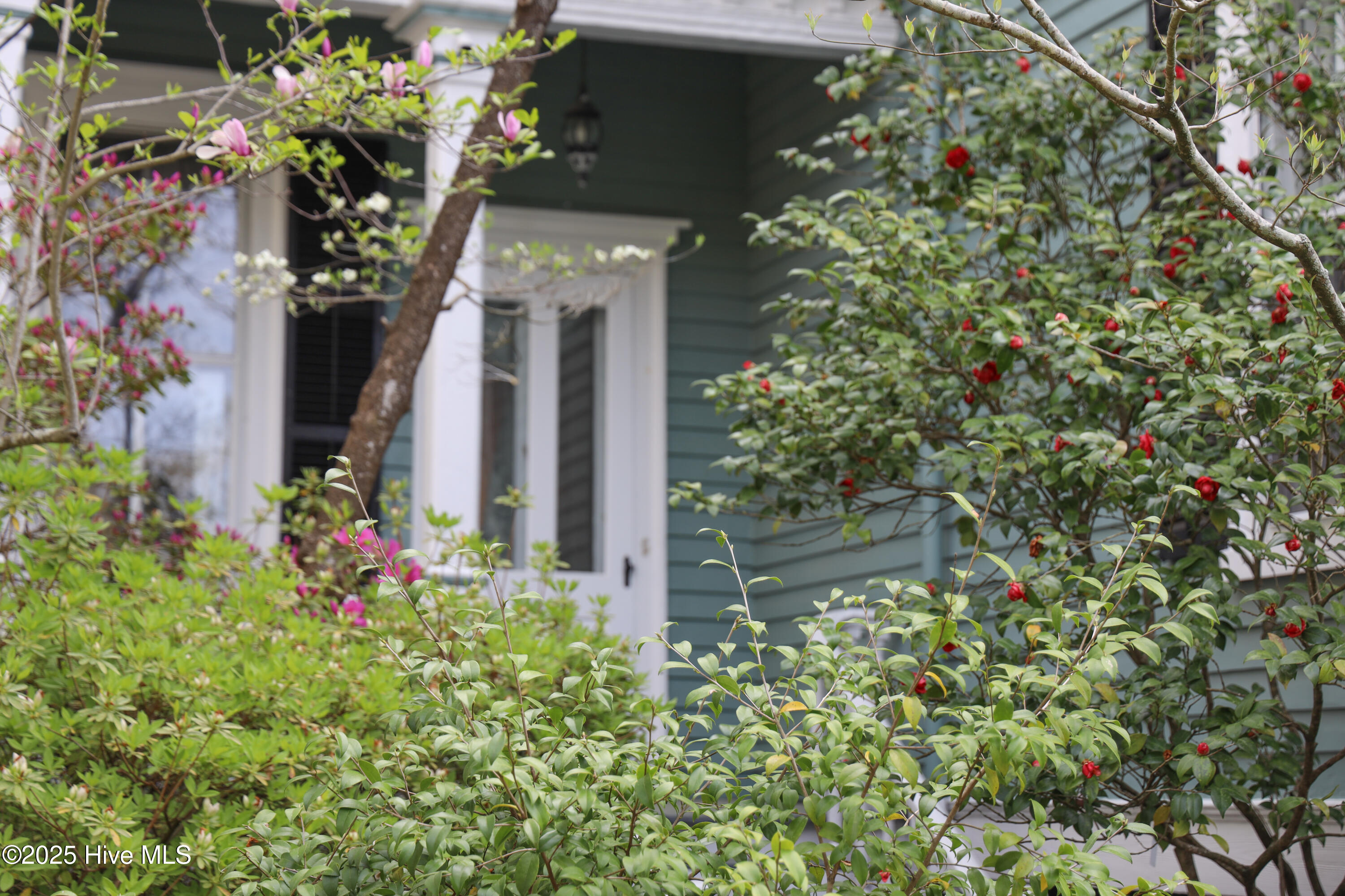 100501936 | Photo 94