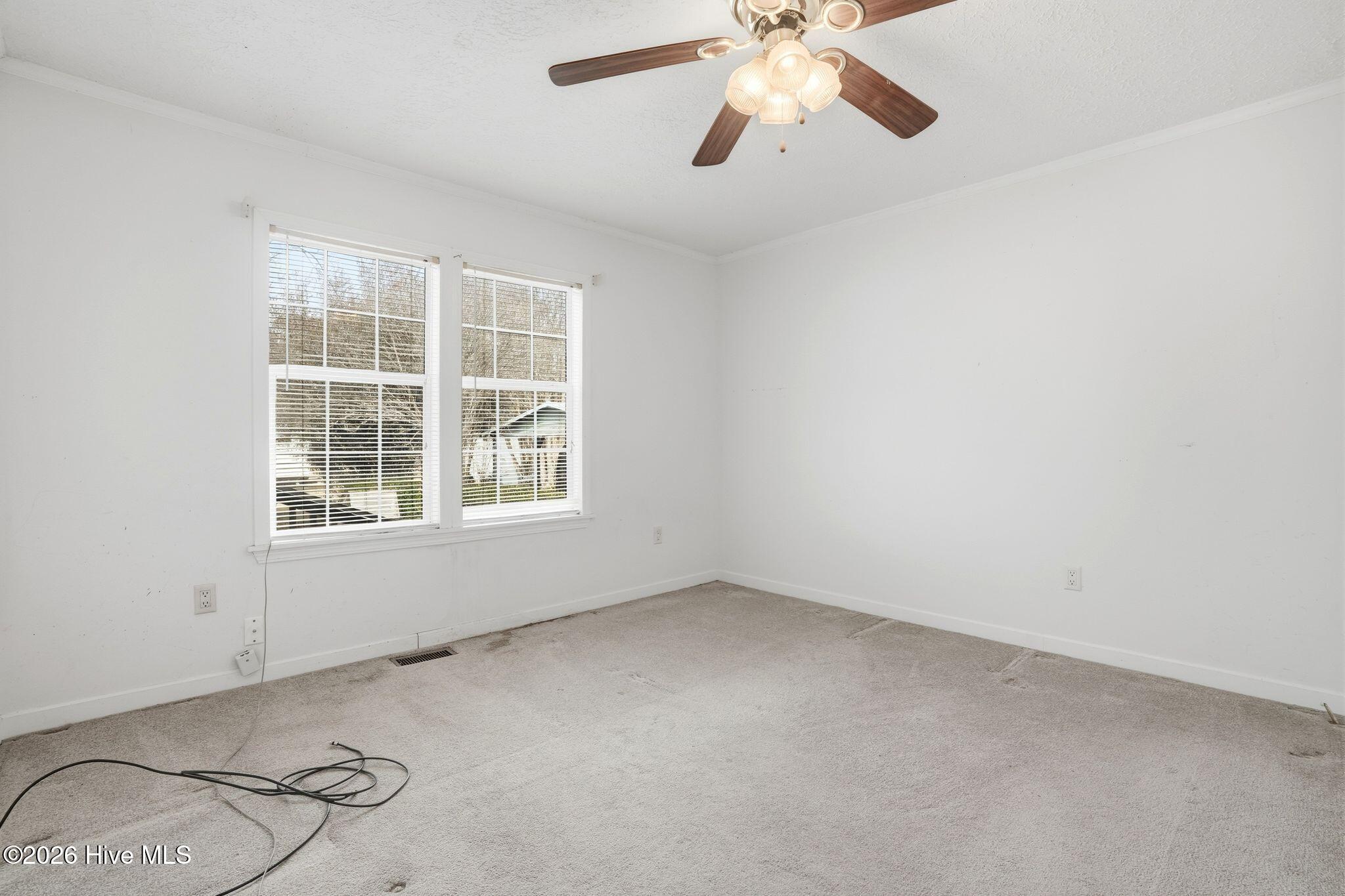 100556115 | Photo 61