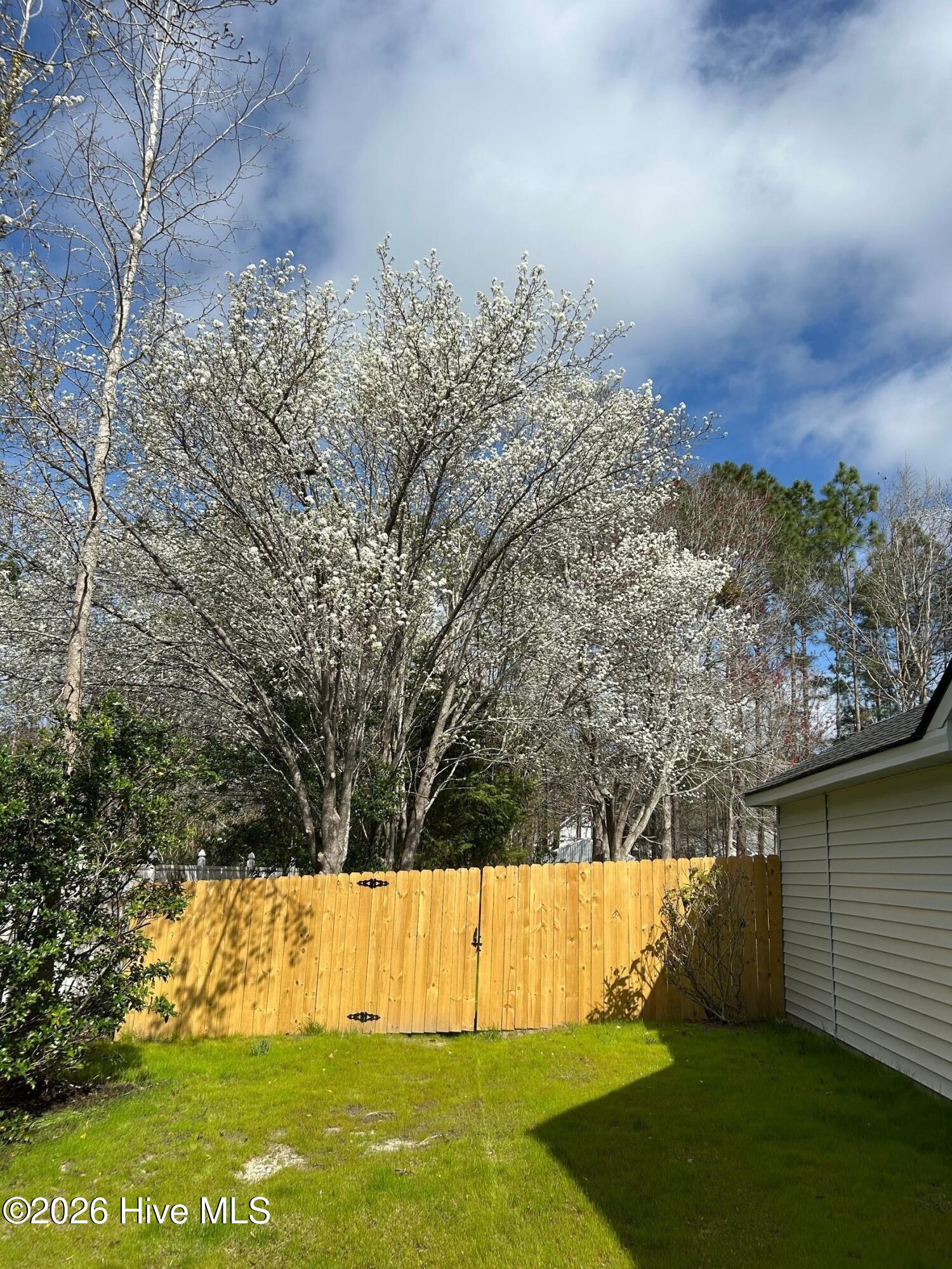 100559934 | Photo 29