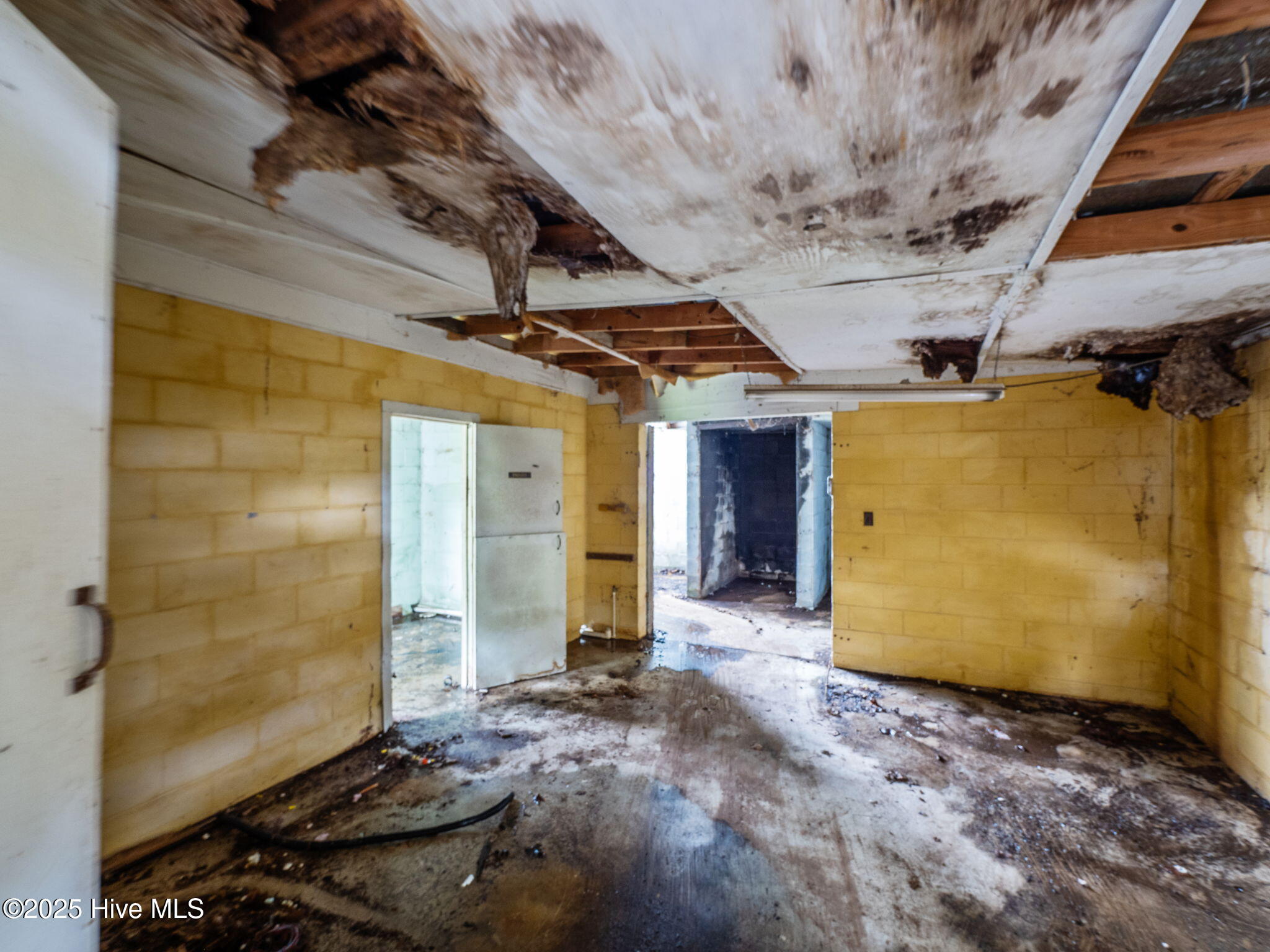 100548844 | Photo 37