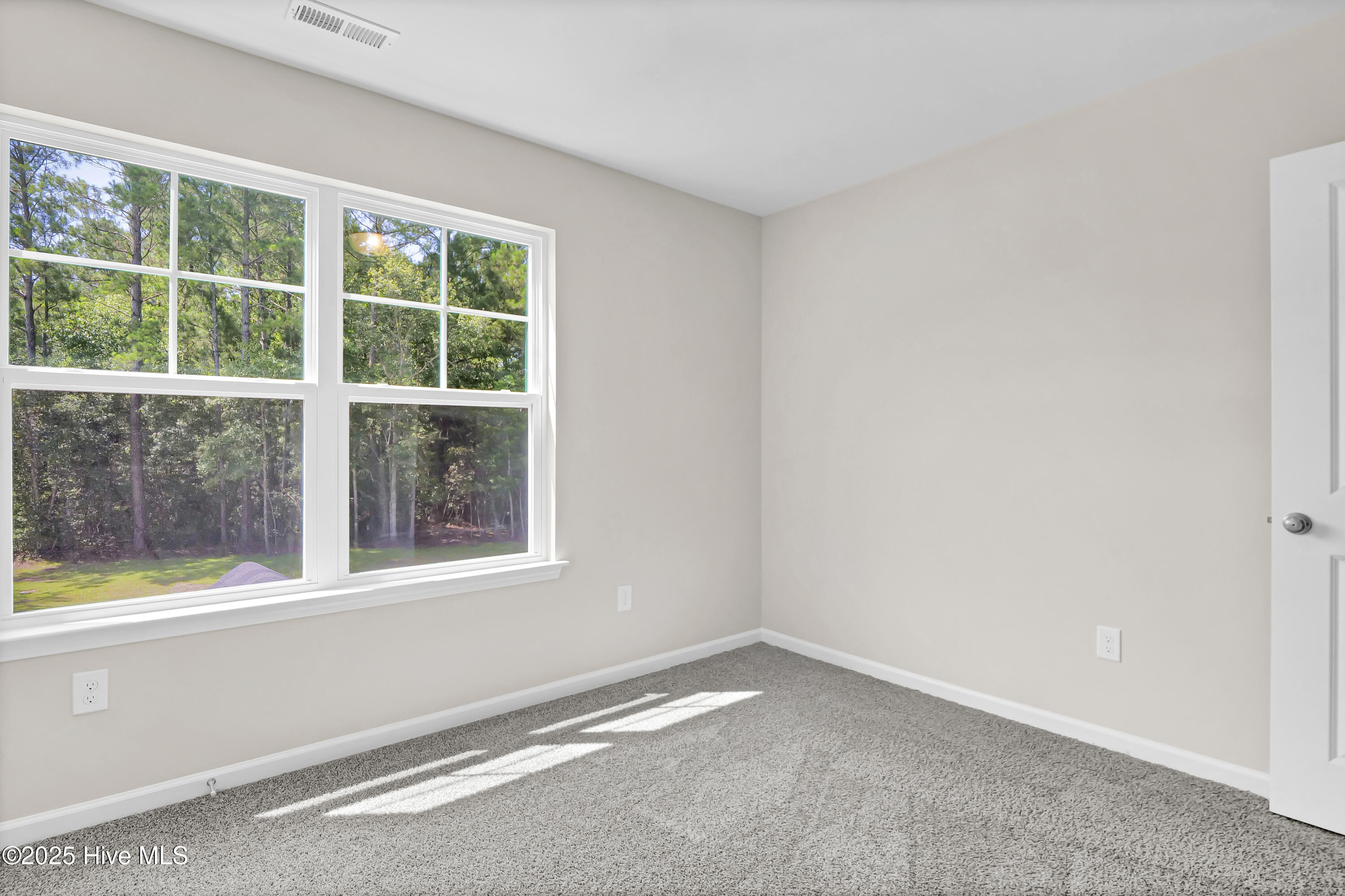 100514629 | Photo 22