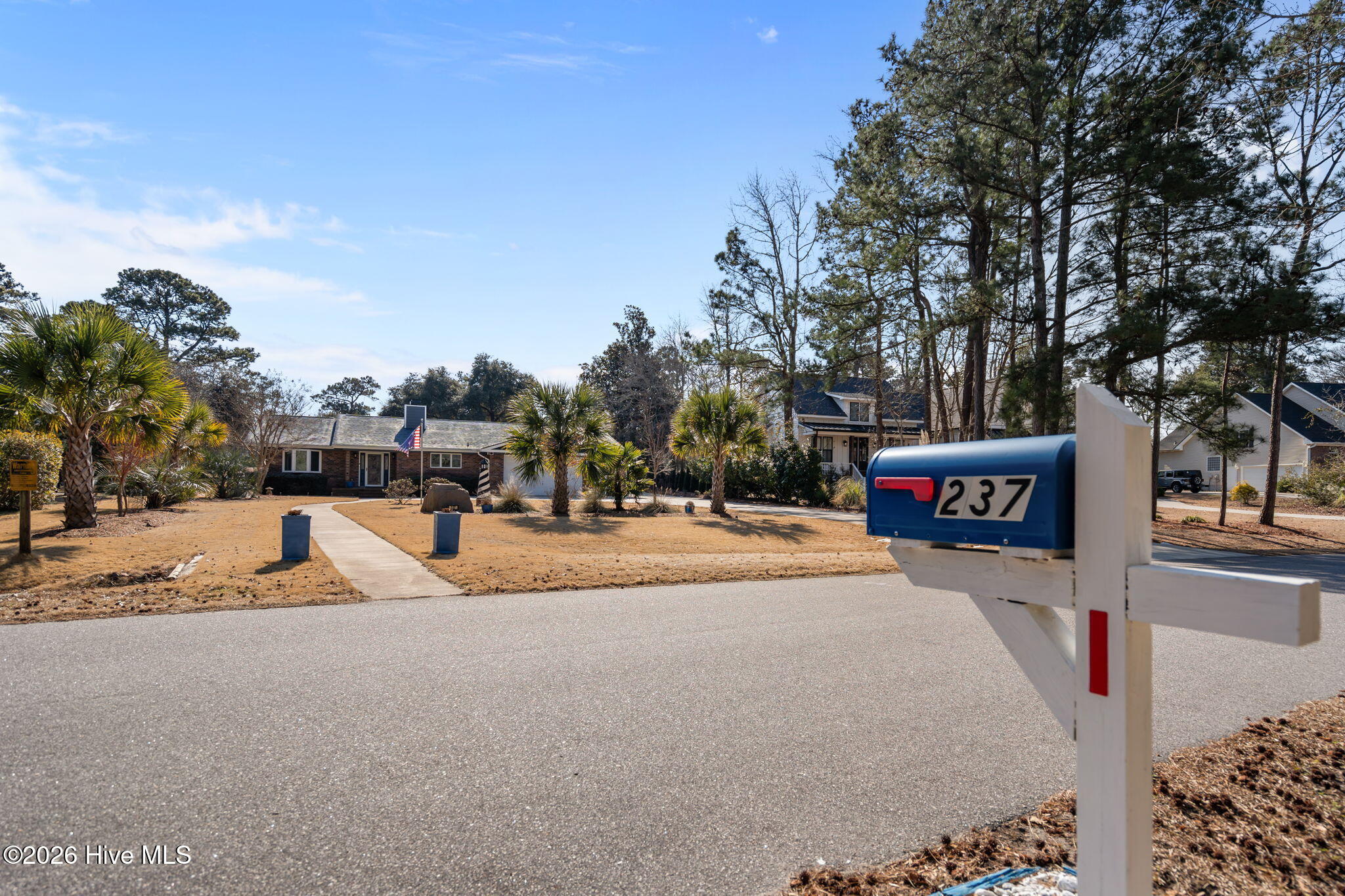 100554054 | Photo 12