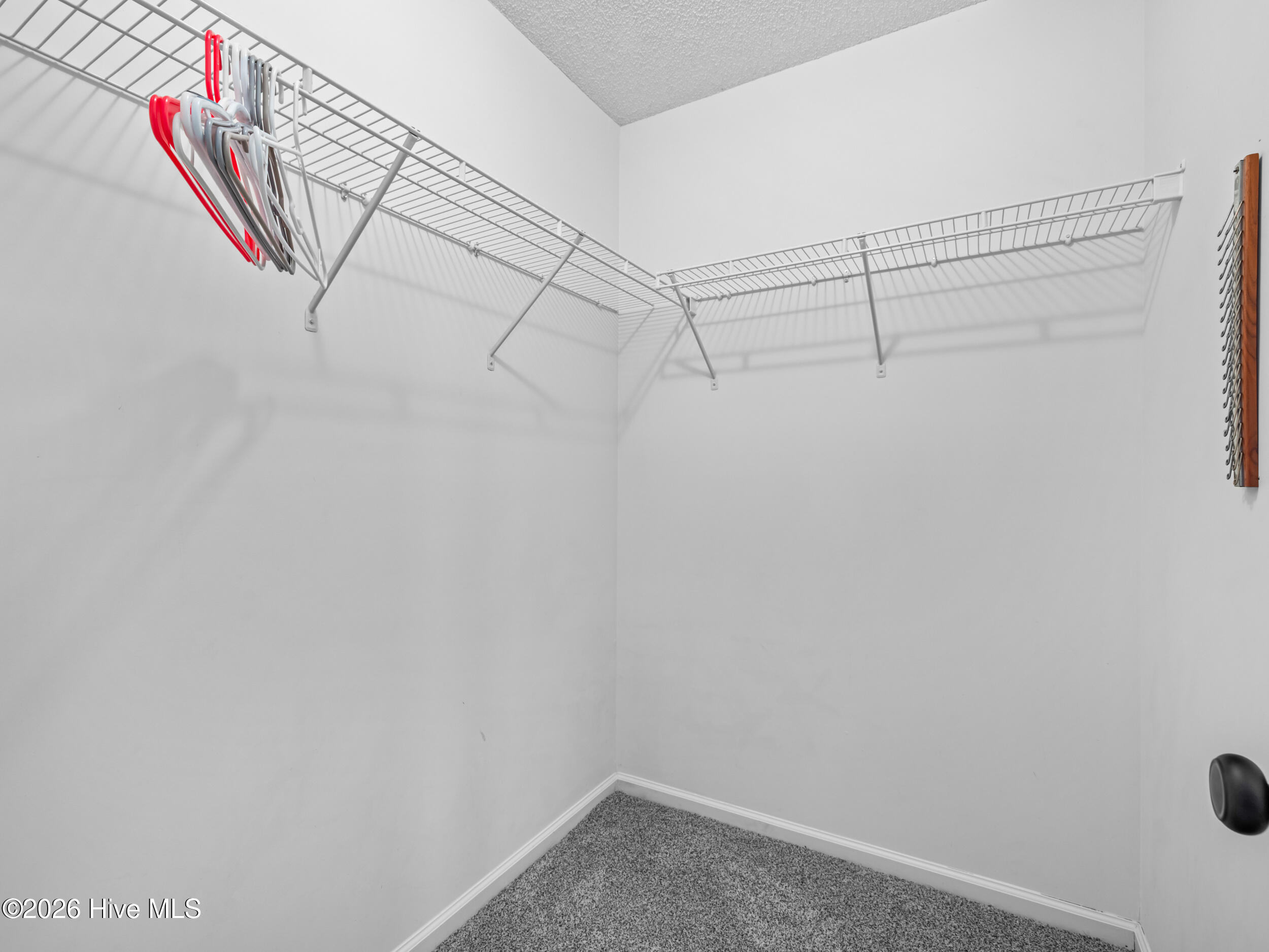 100547559 | Photo 33