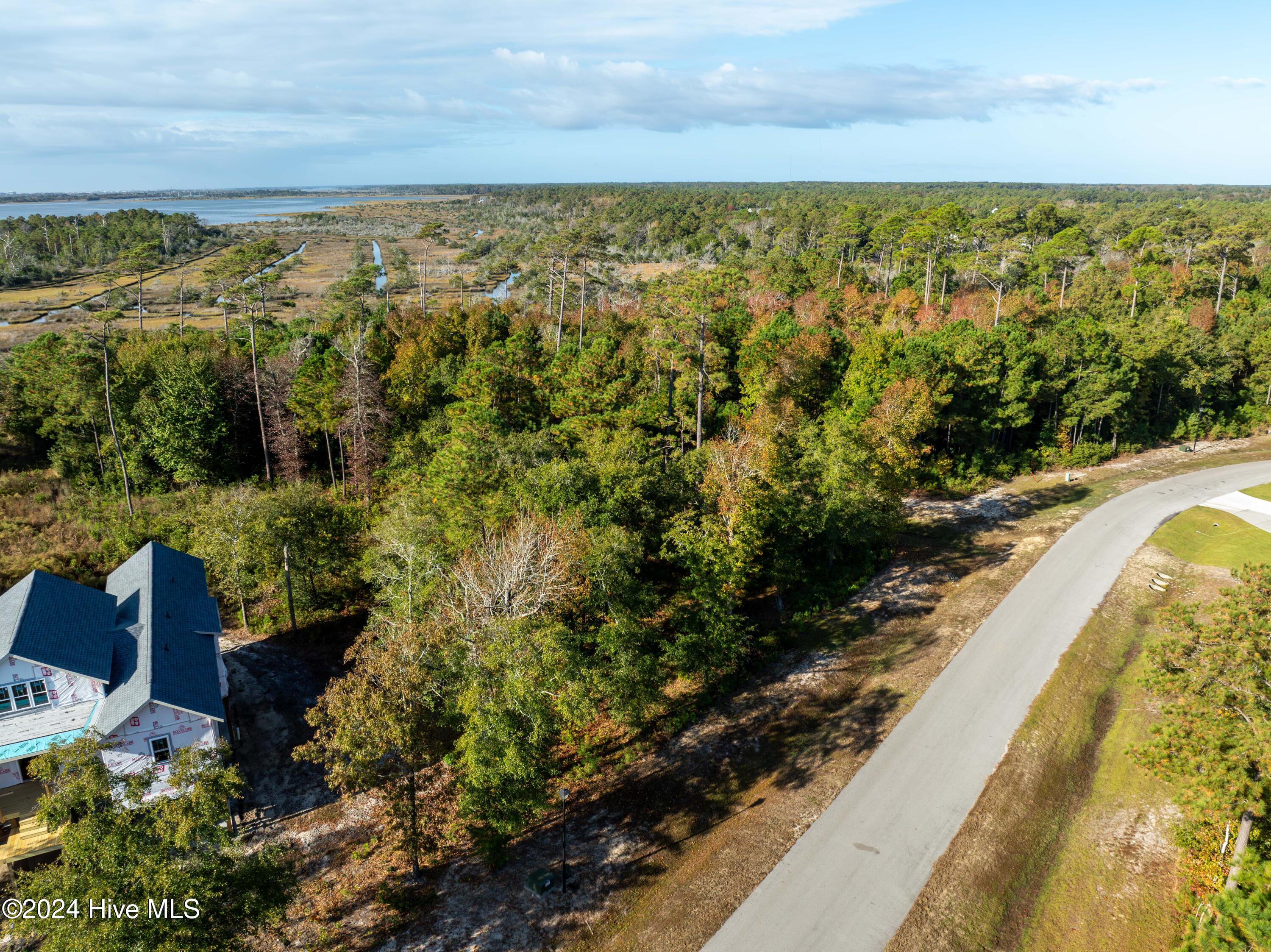 343 Landon Lane, Sneads Ferry, NC, 28460