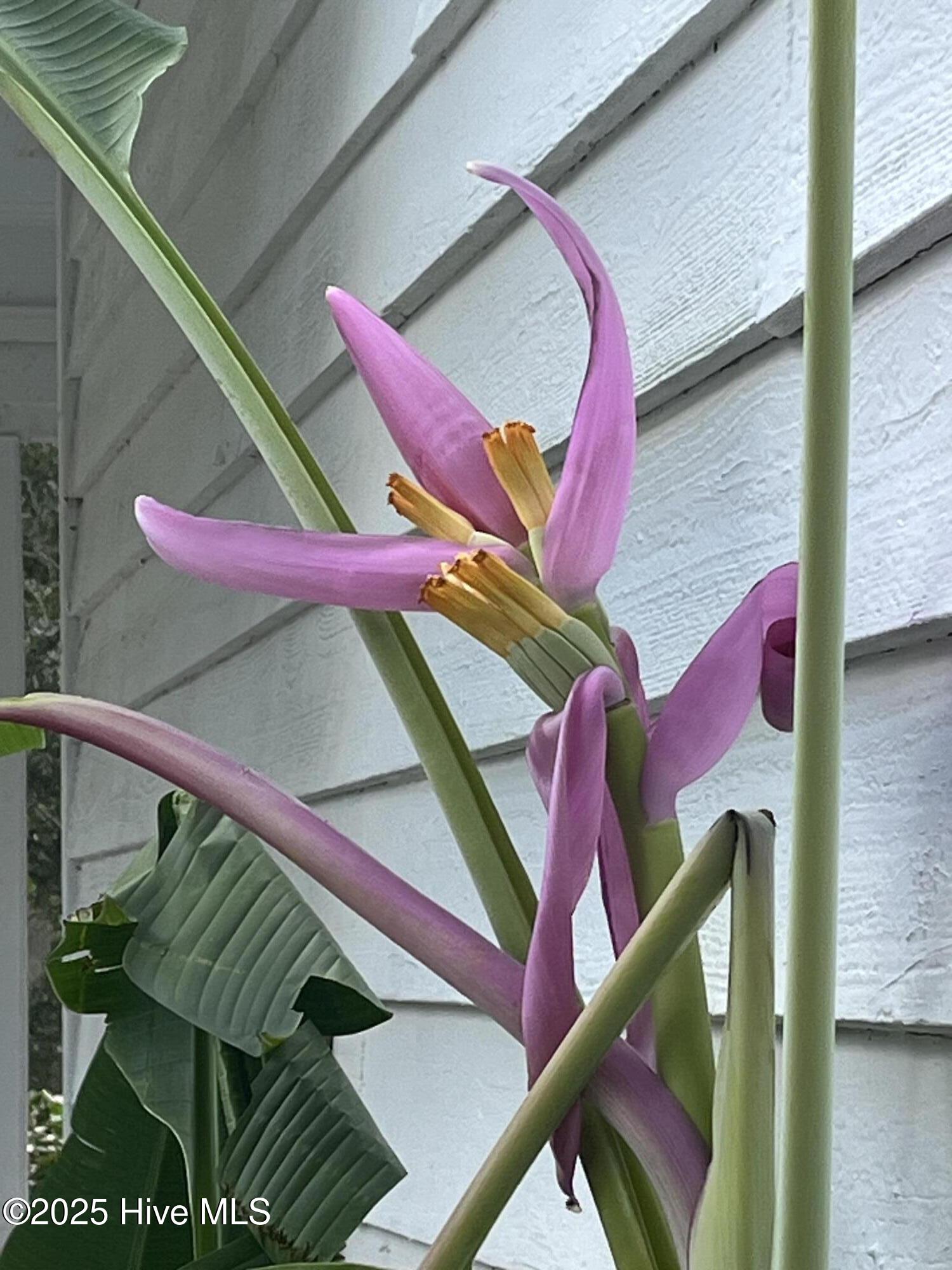 100521049 | Photo 50