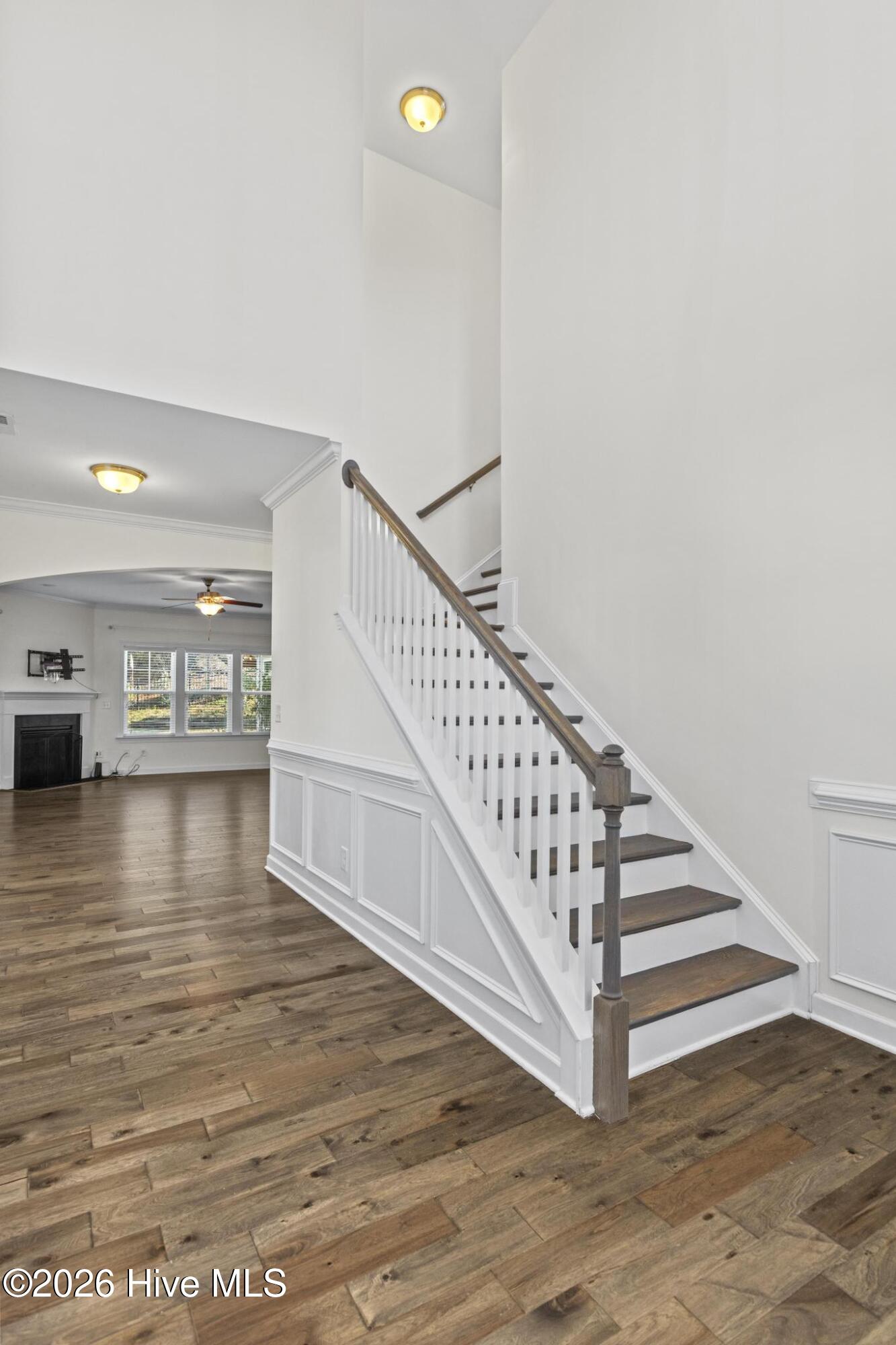 100554493 | Photo 24