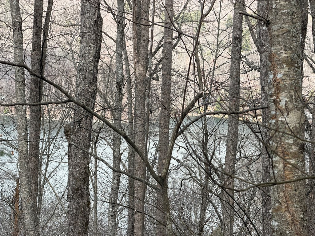 Homes for sale in Nantahala, NC | Lot 12 Lake Vista Cir, Nantahala, NC 28781 | MLS# 98500294