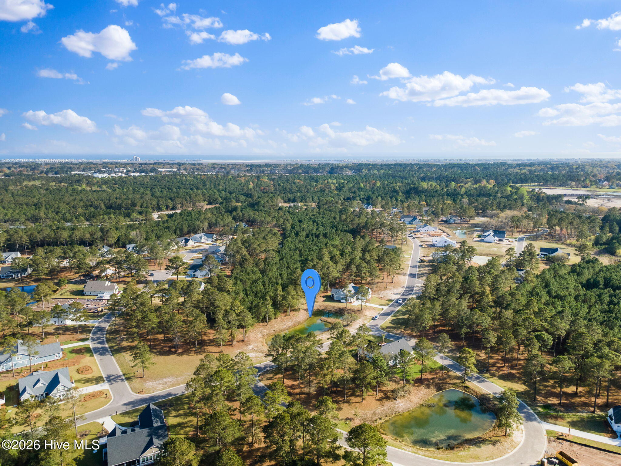 100563065 | Photo 11