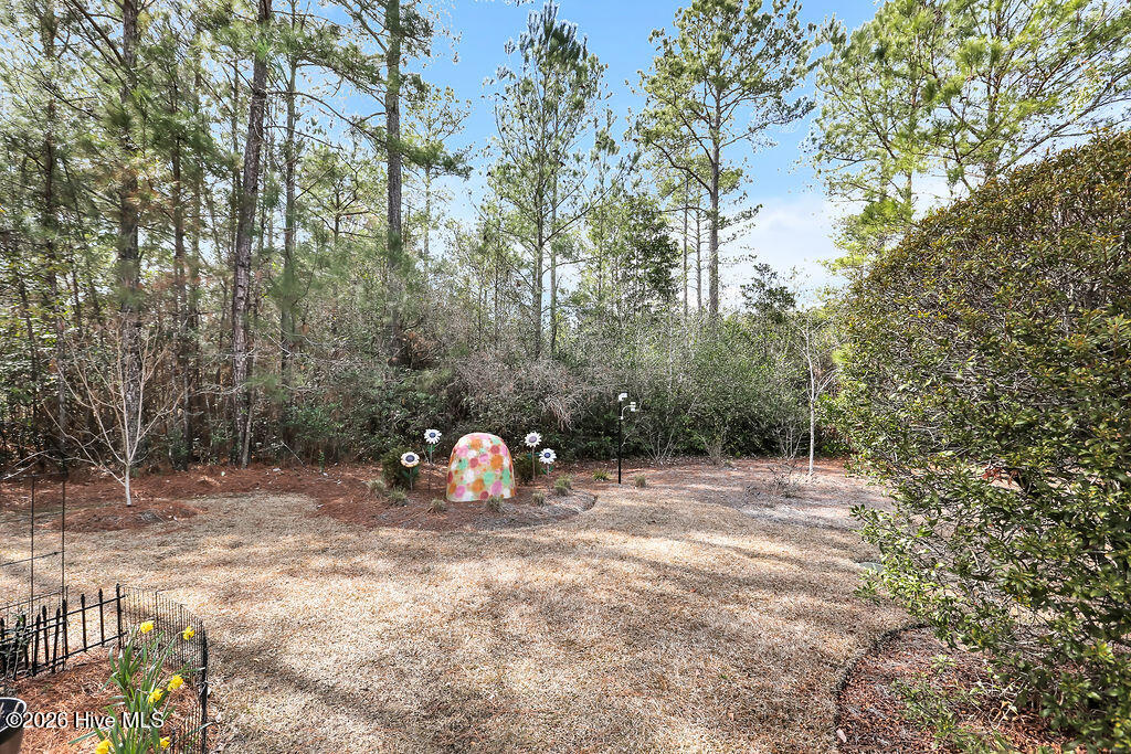 100548295 | Photo 53