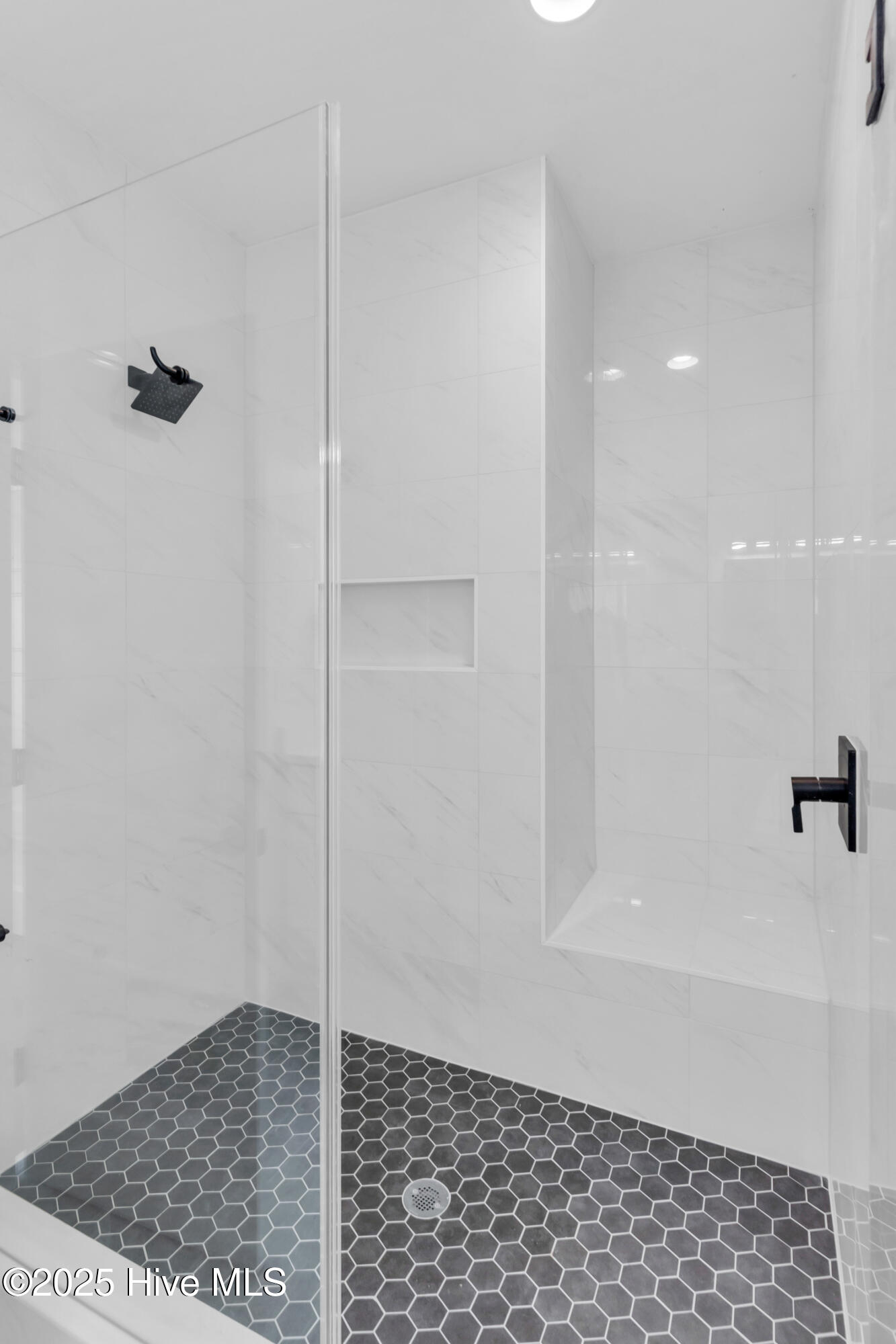 100509677 | Photo 22