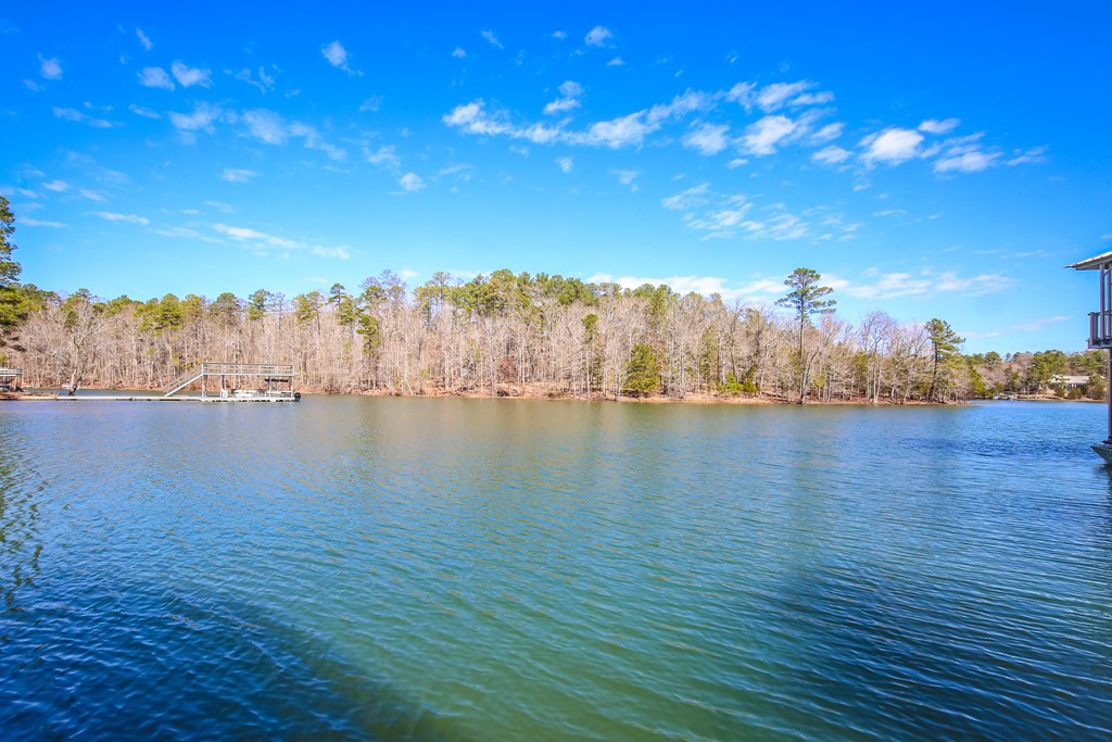 Undisclosed Address, Appling, GA, 30802