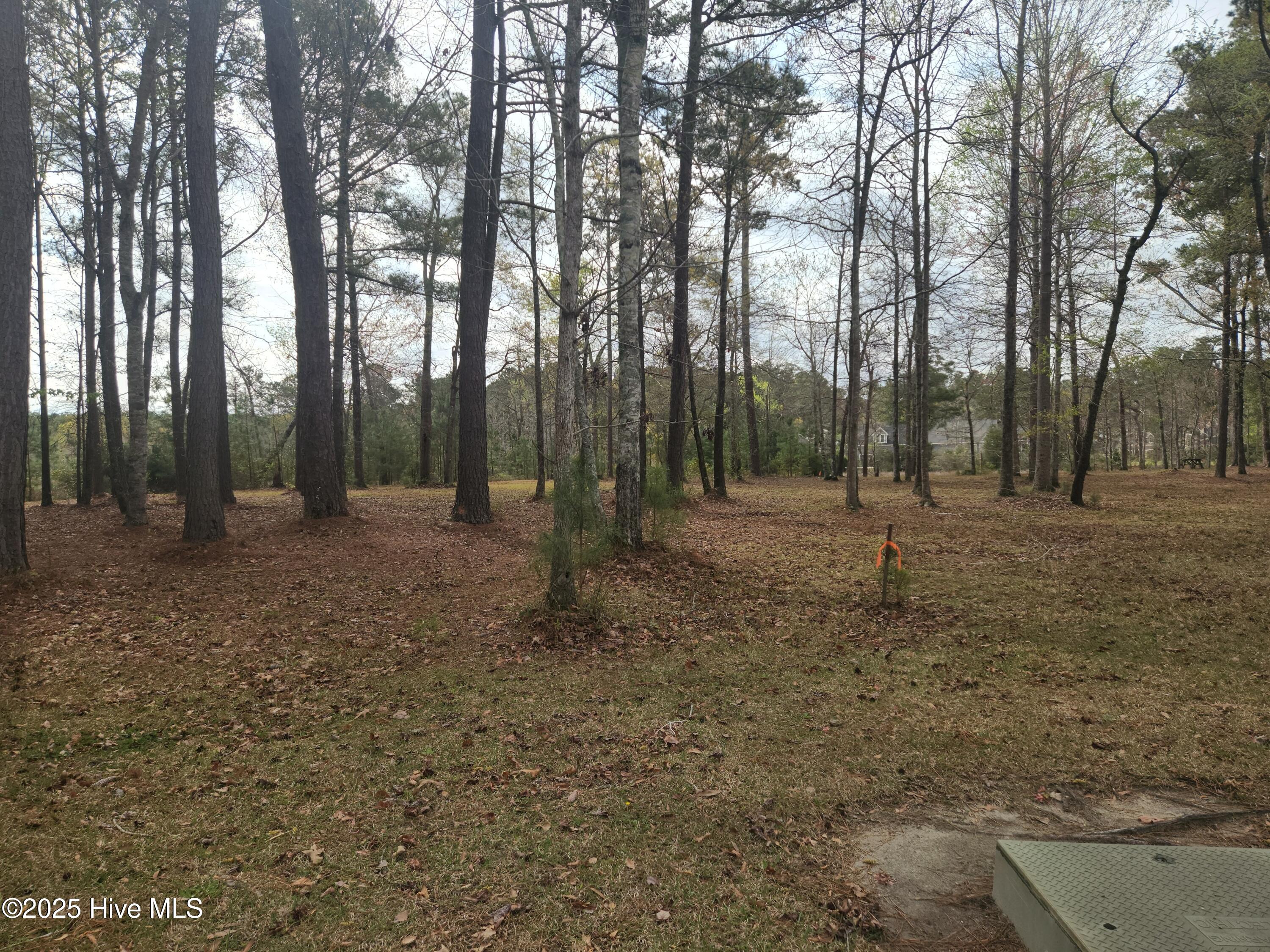 View from road towards right.