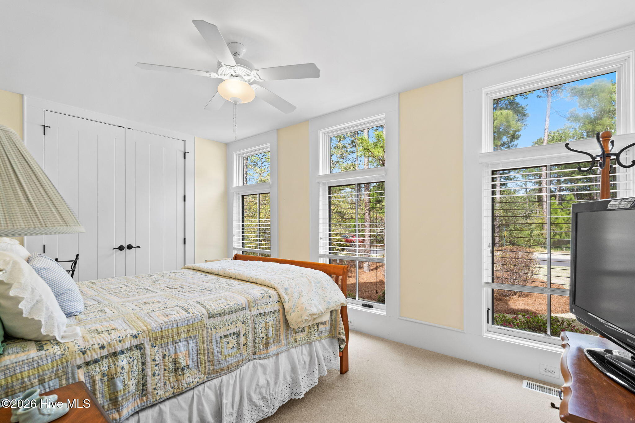 100563236 | Photo 25