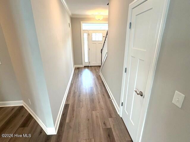 100538351 | Photo 10