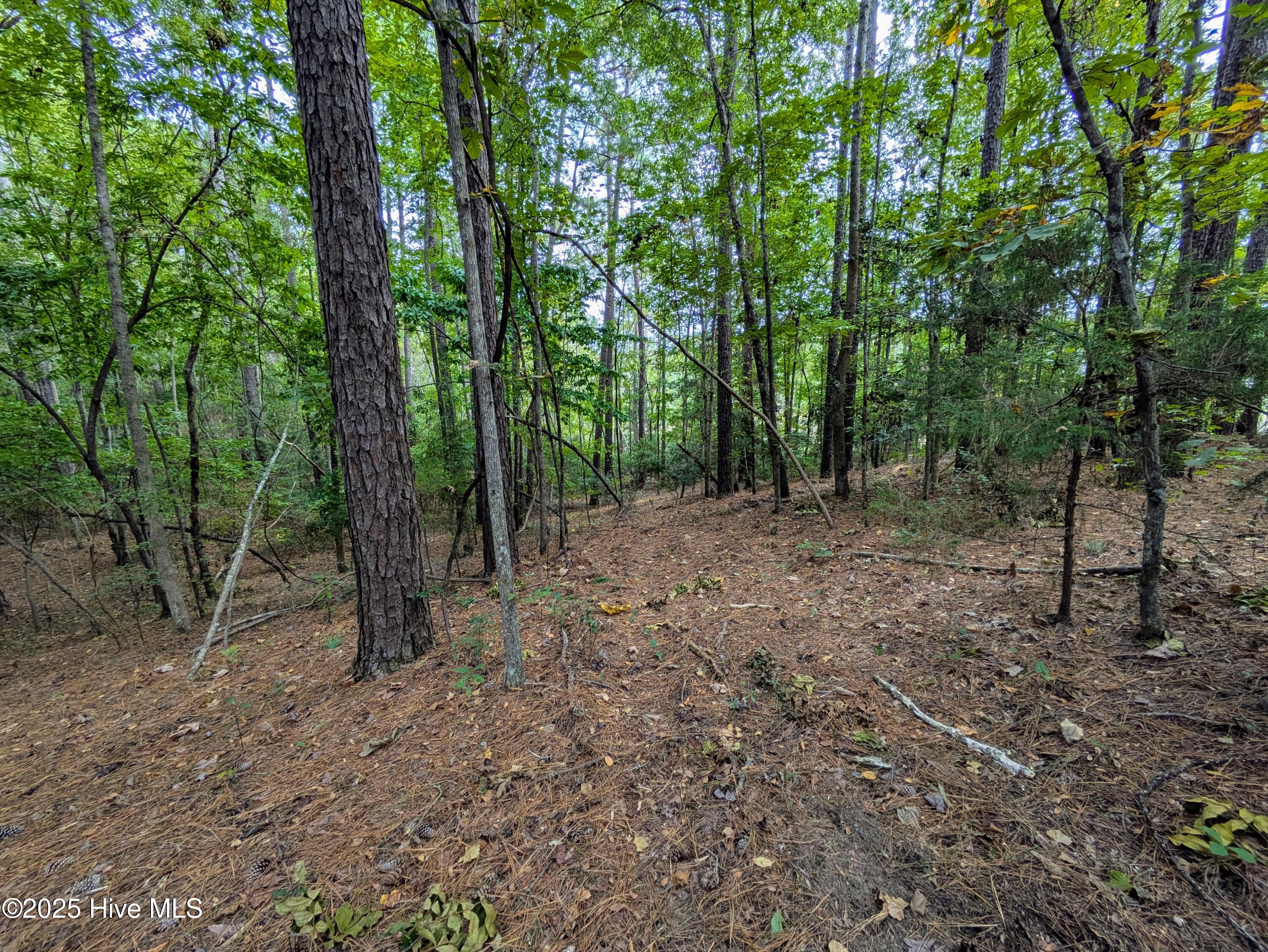 100535245 | Photo 21