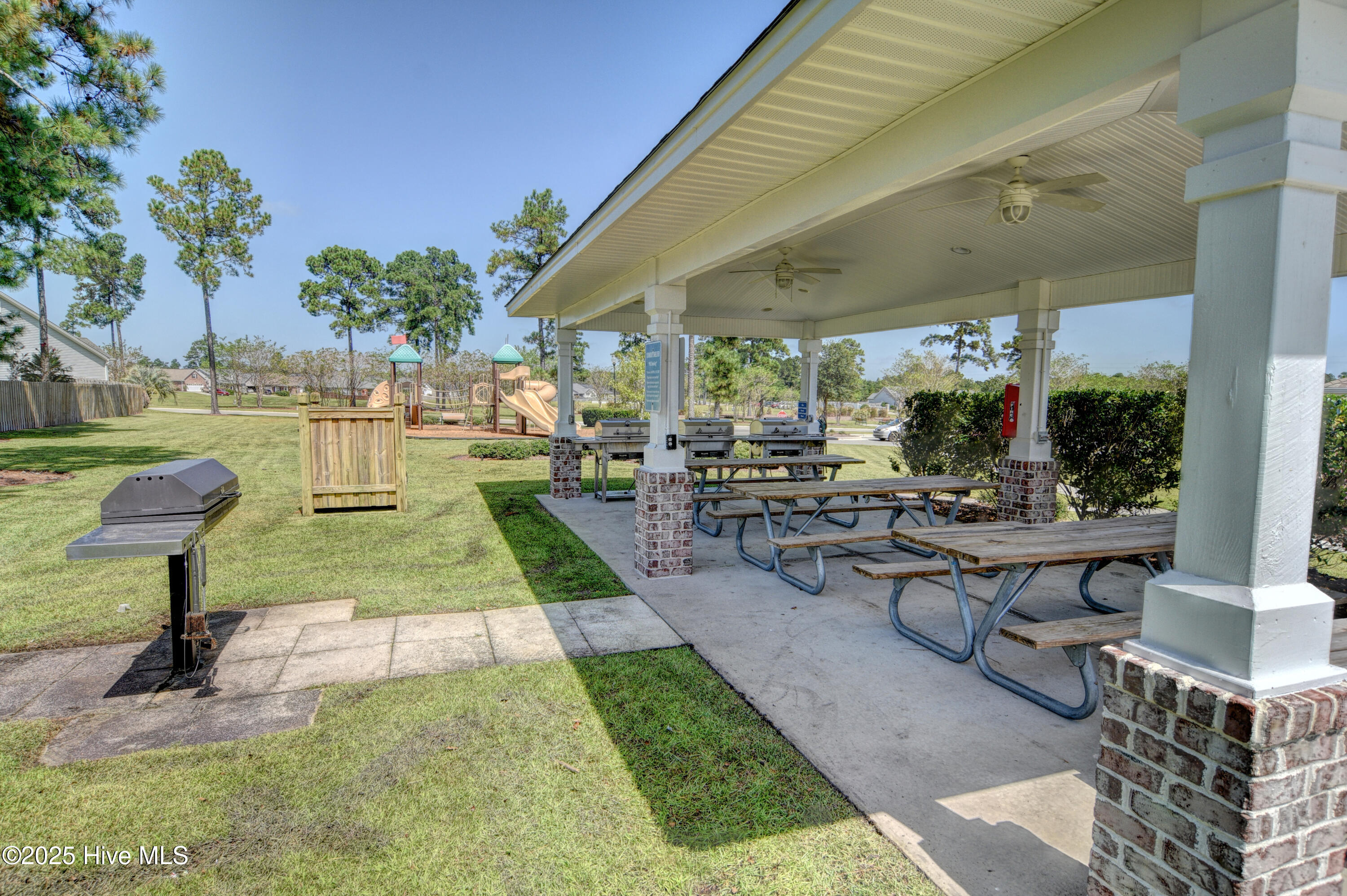 100535100 | Photo 21