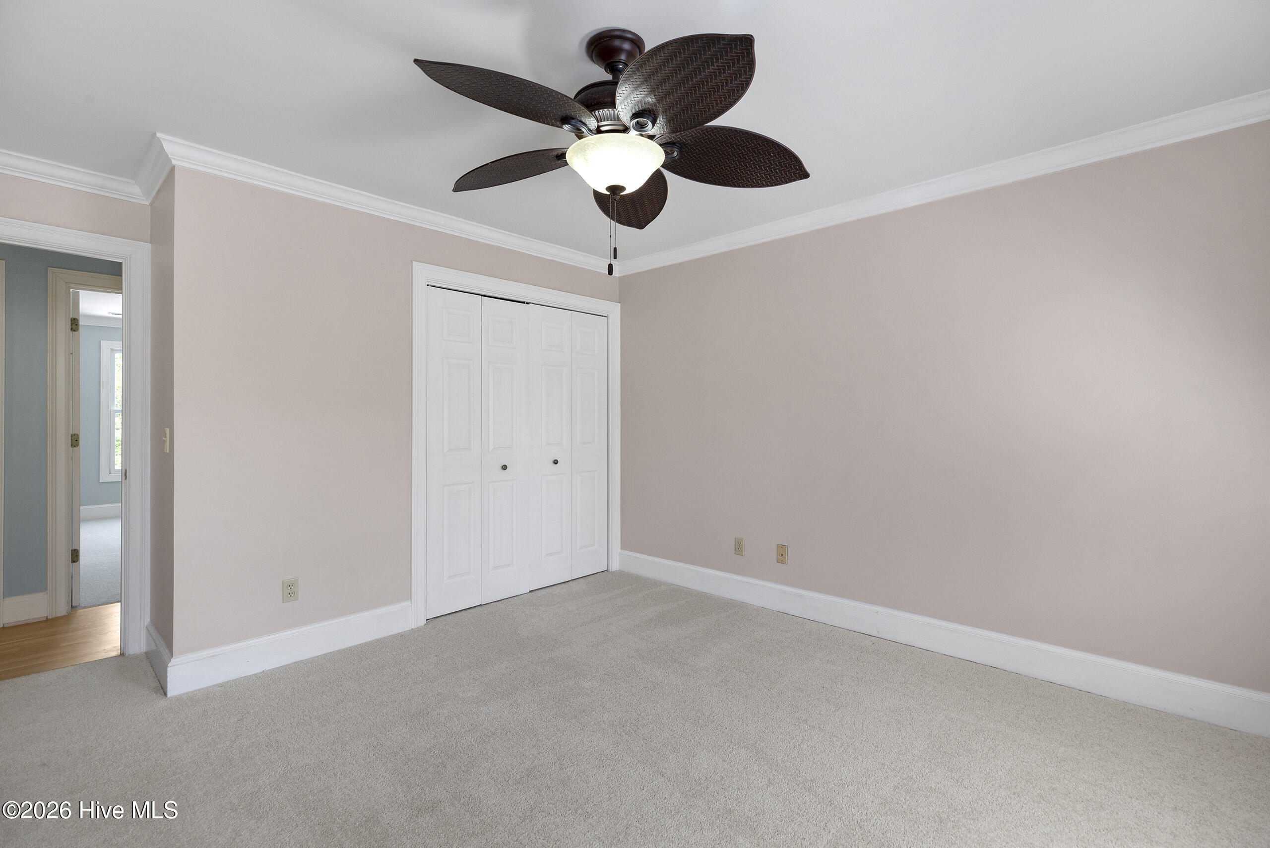 100566795 | Photo 32