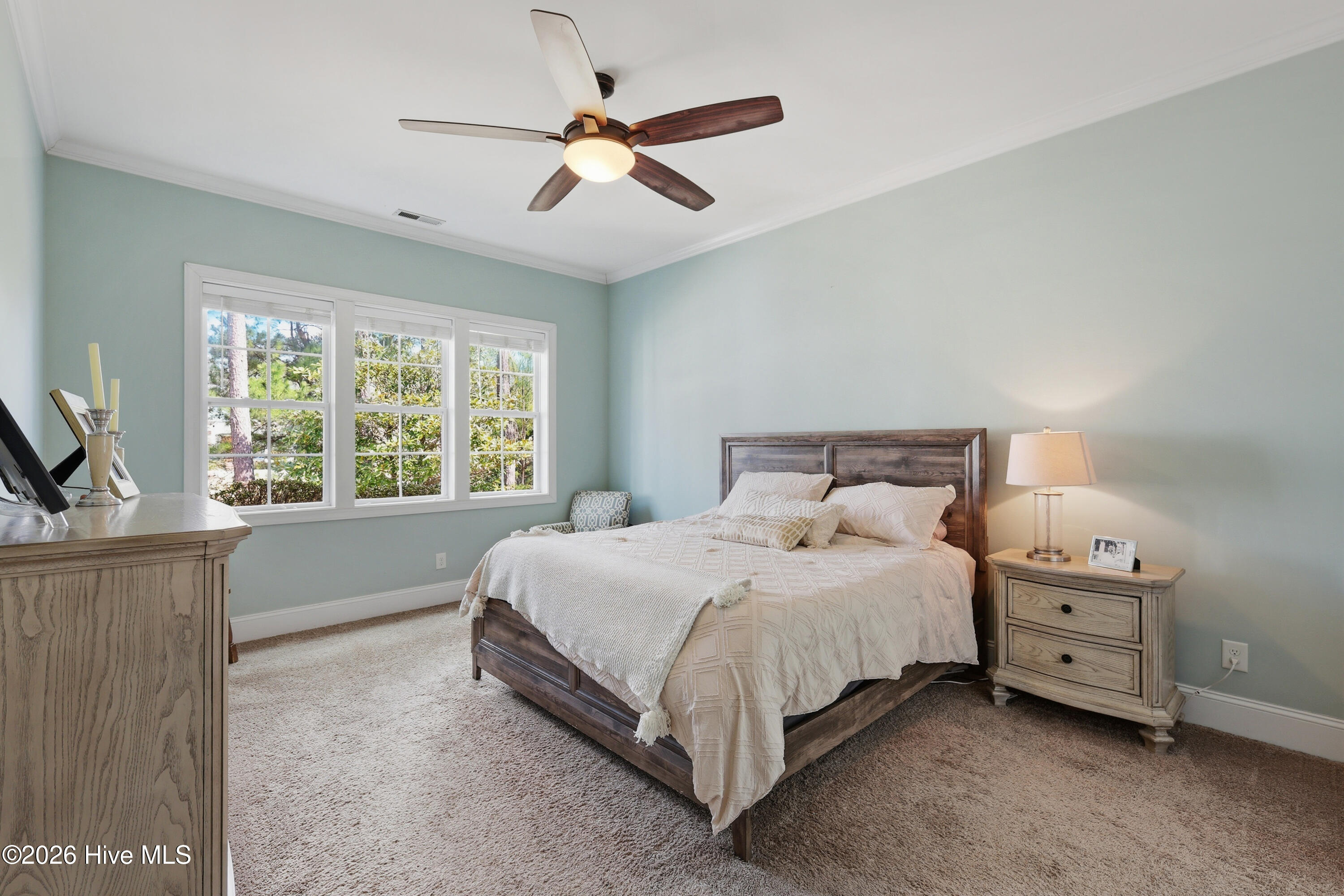 100554068 | Photo 28