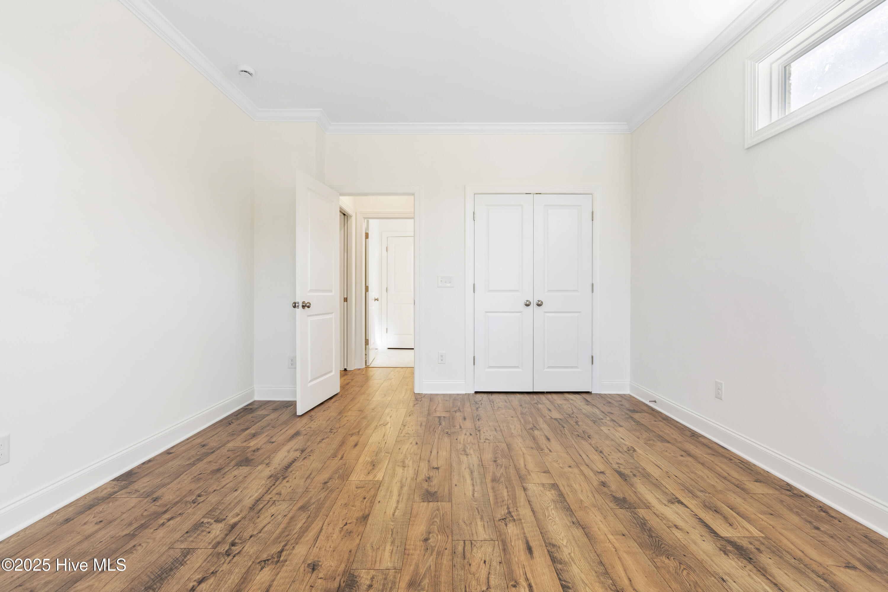 100537559 | Photo 32