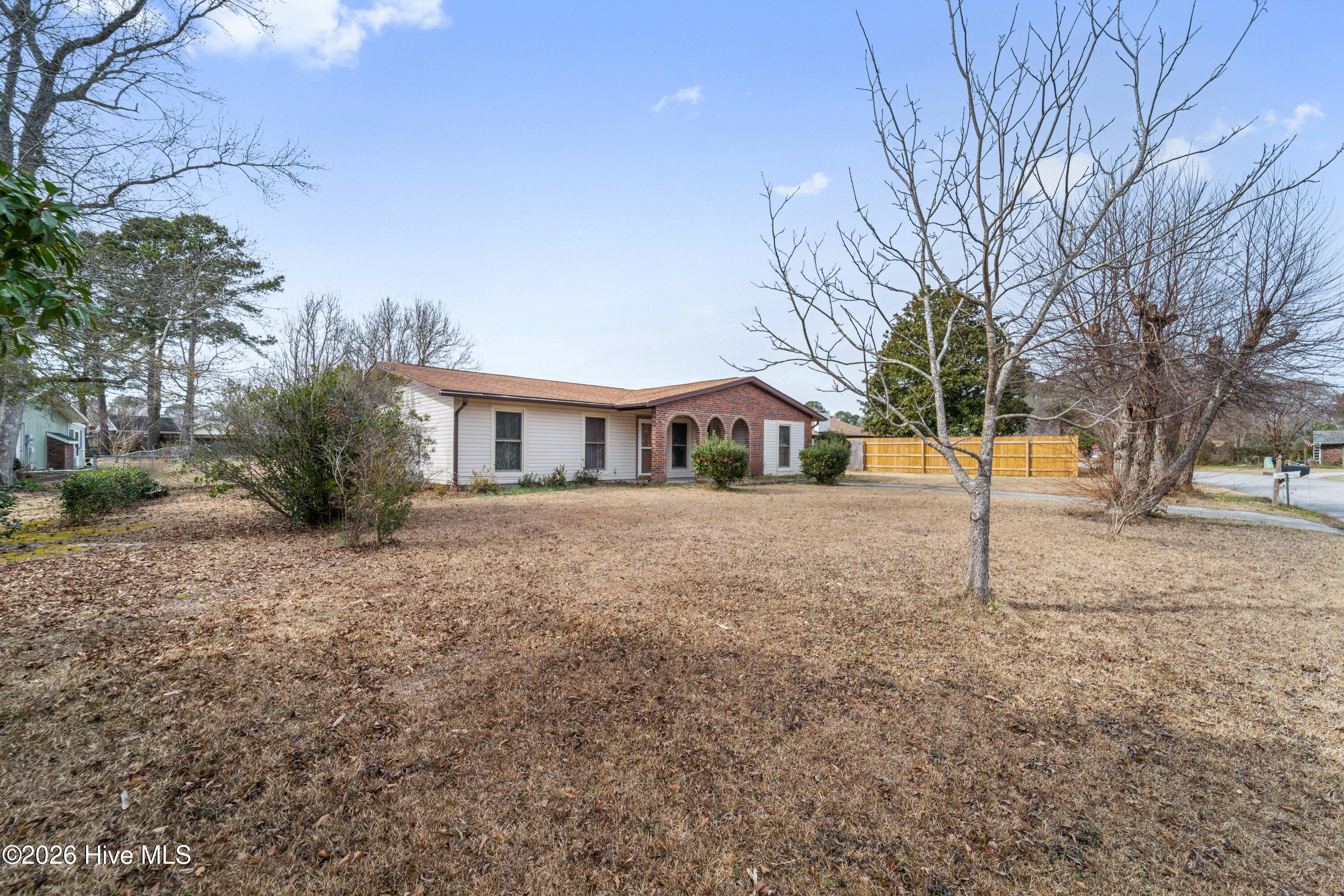 100556367 | Photo 40