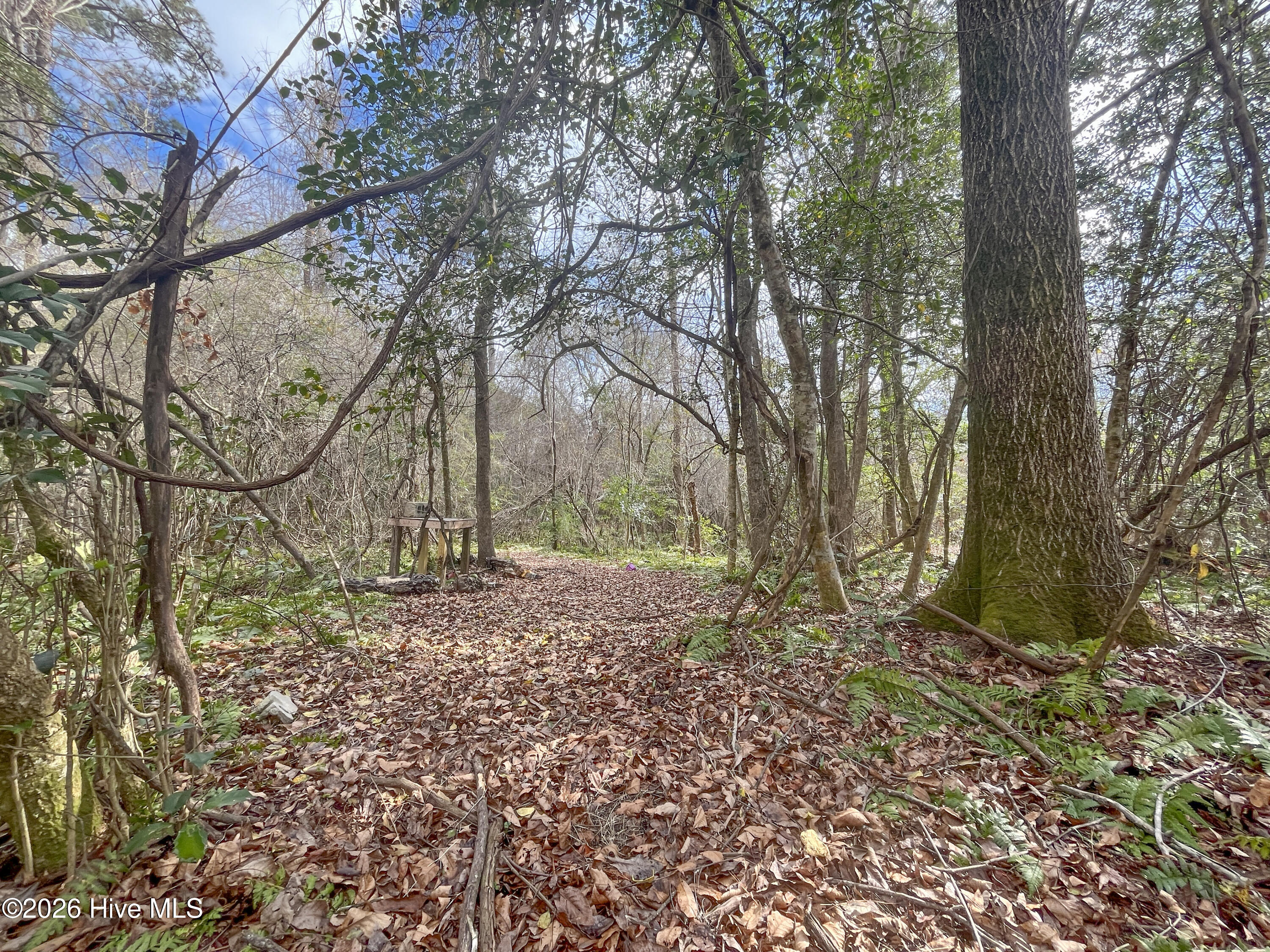 100557904 | Photo 40