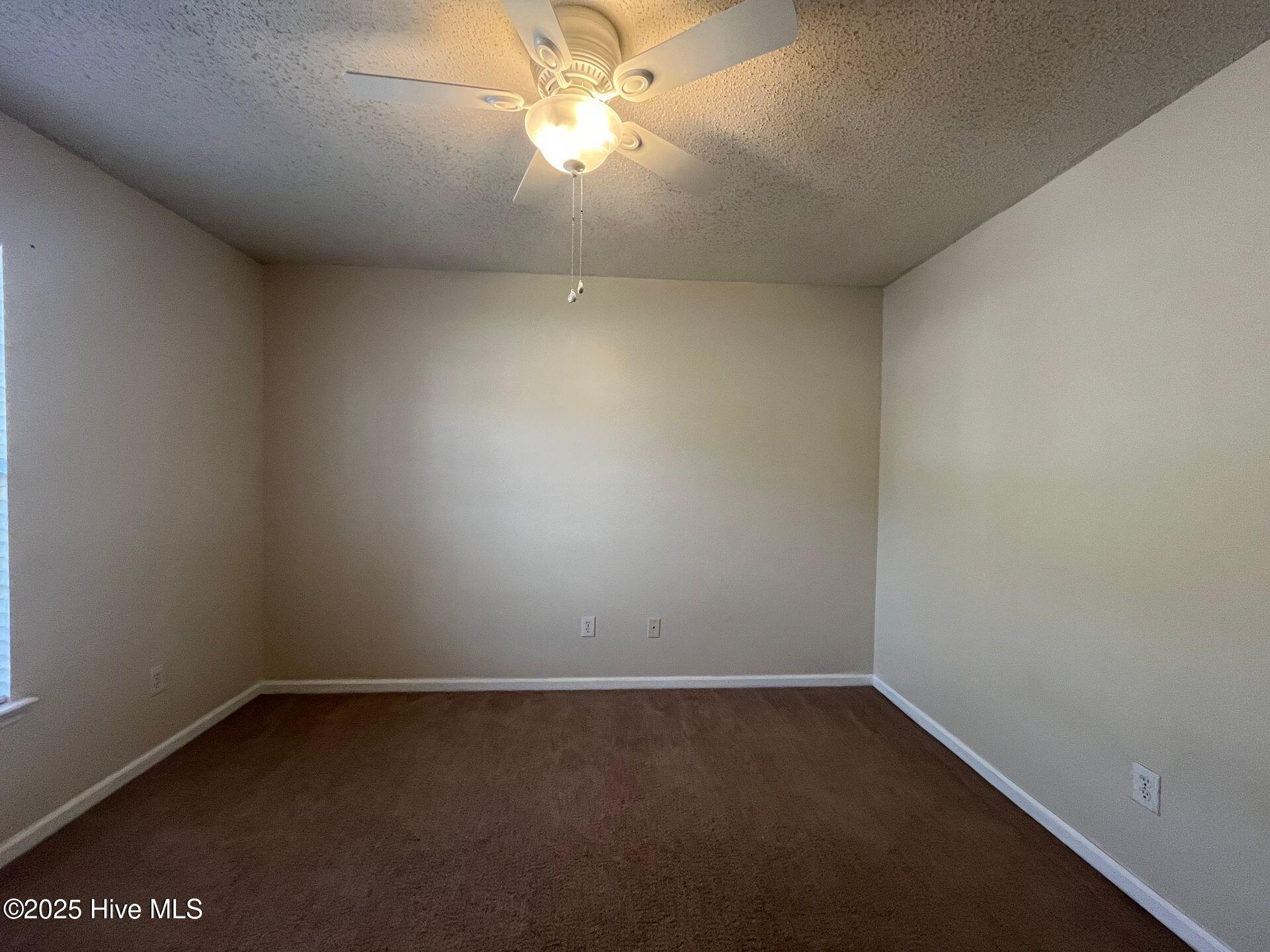 100569102 | Photo 21