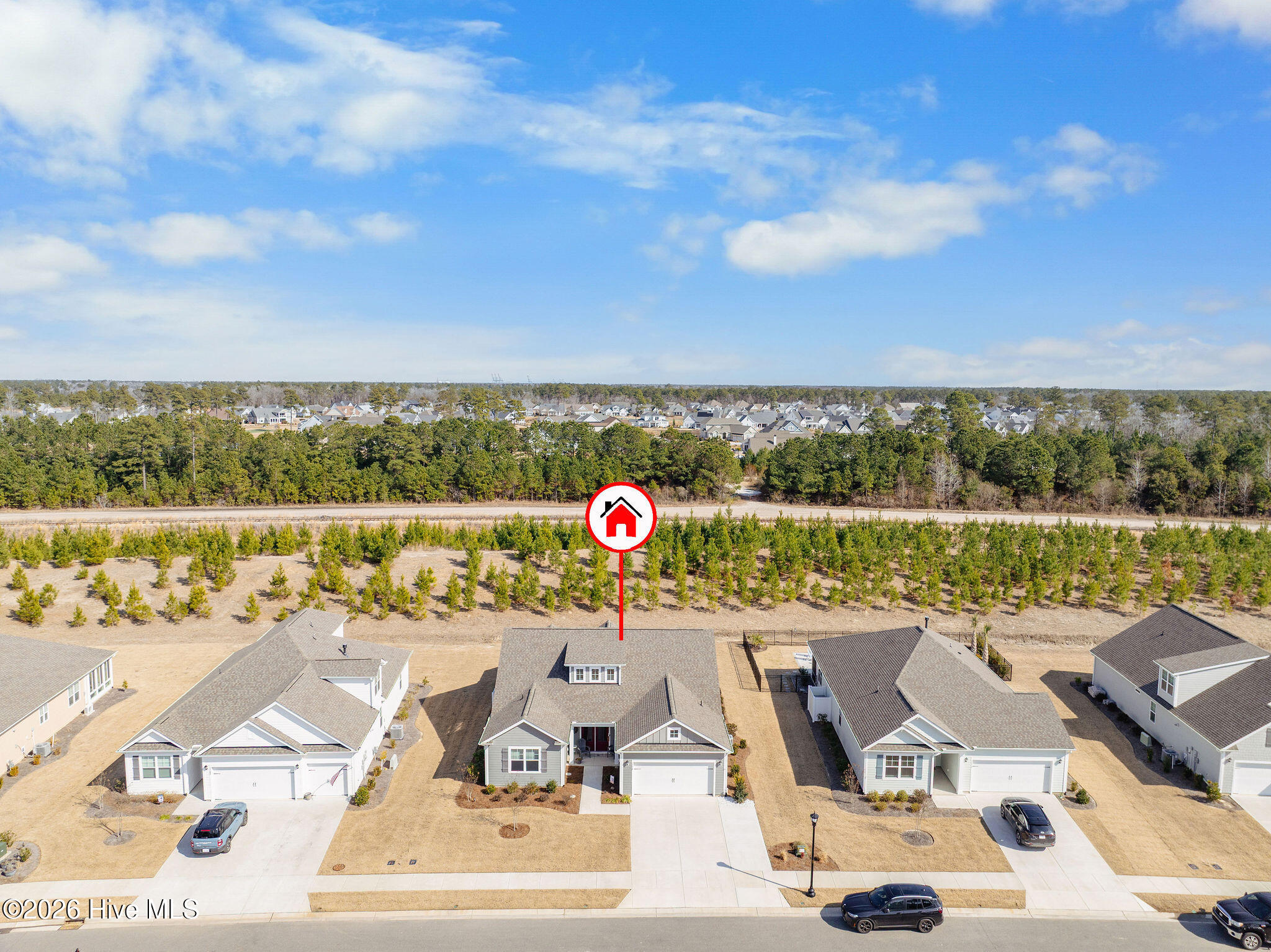 100554003 | Photo 49