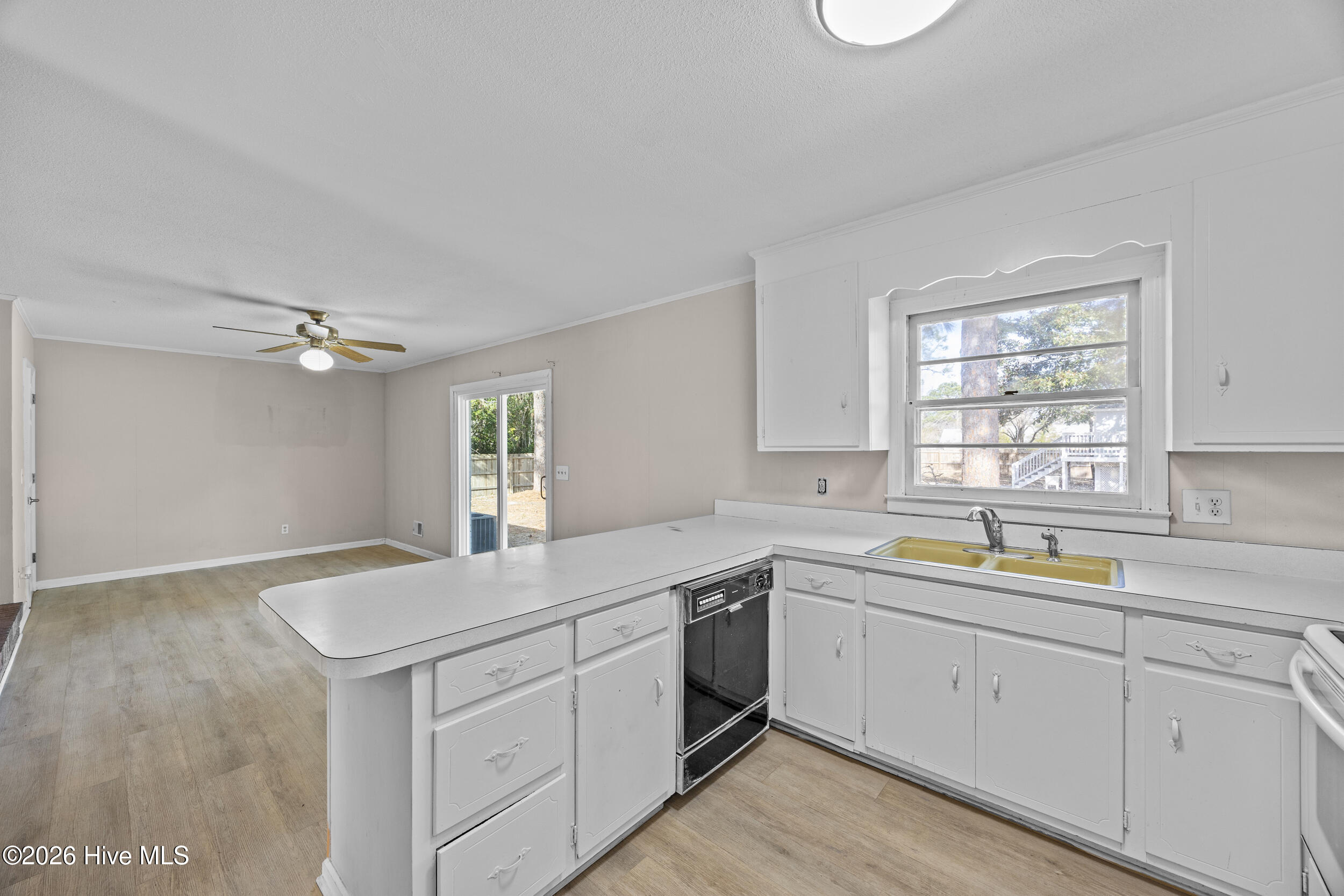 100548079 | Photo 34