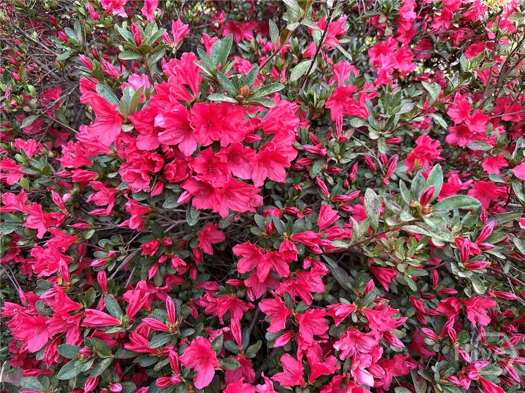 1104 Farm Road, Colbert, GA, 30628