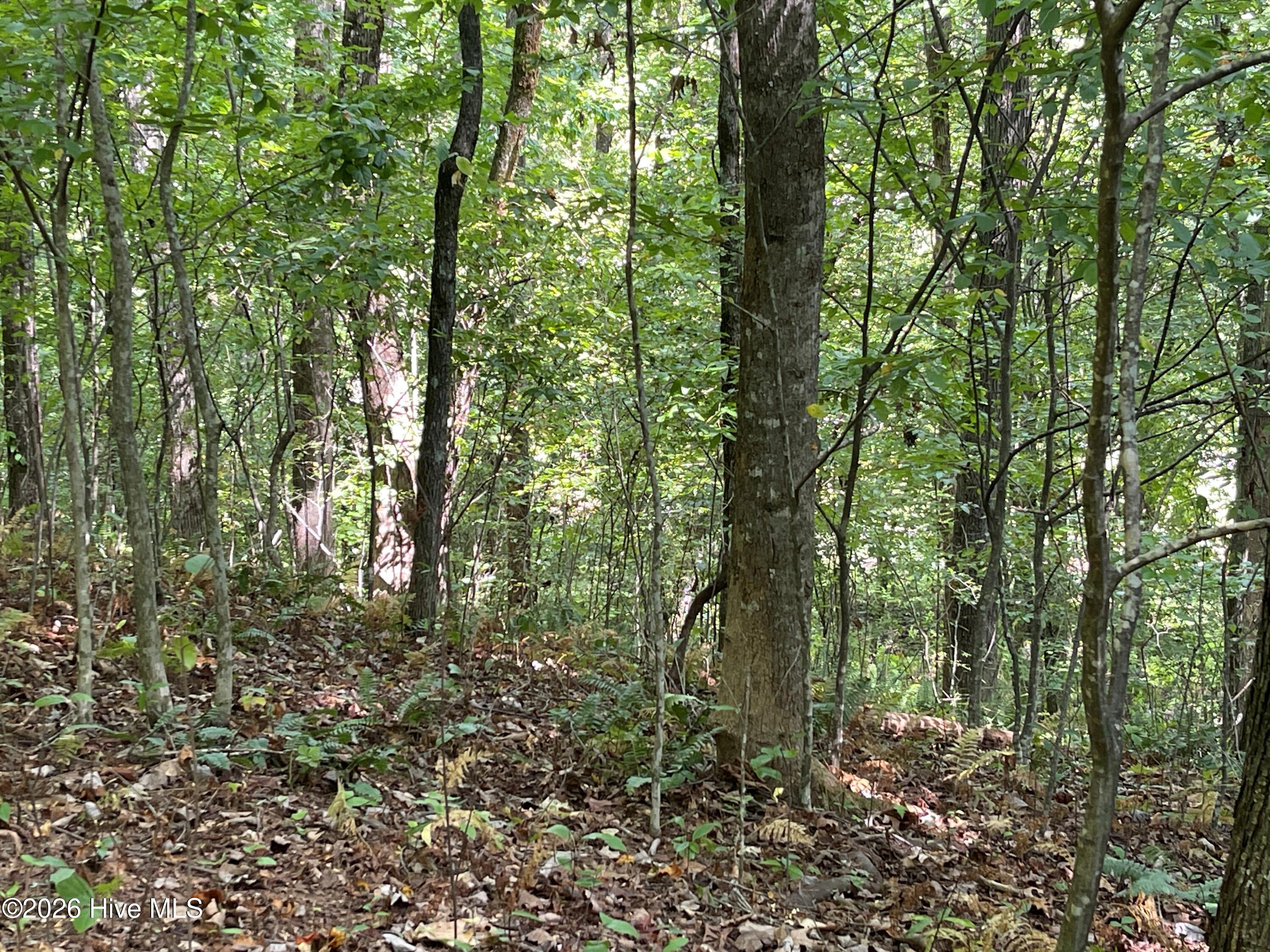 Exterior photo of 81a-82a 81A-82A Licklog Road, Hayesville, NC 28904. MLS: 100602151
