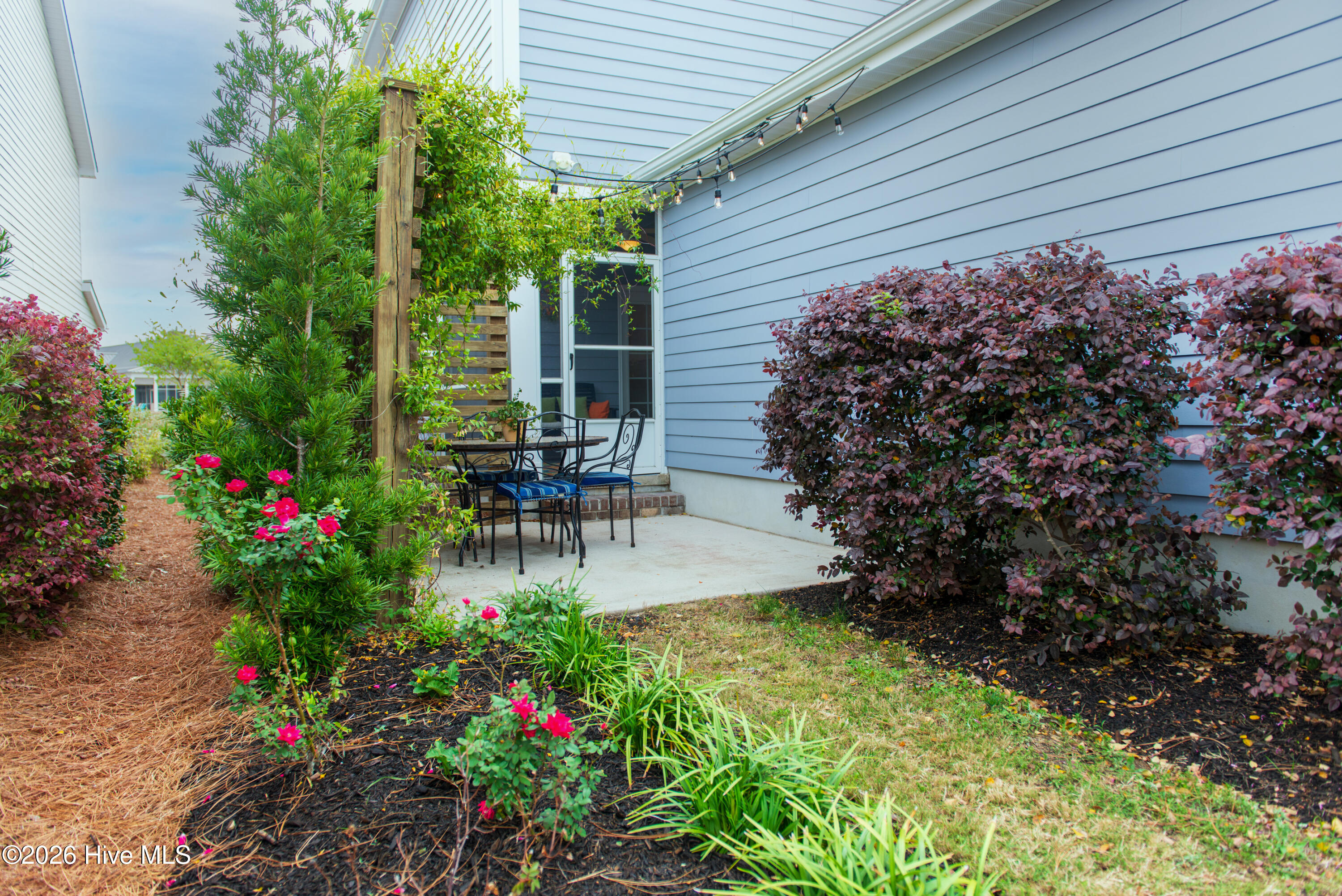 100568036 | Photo 64