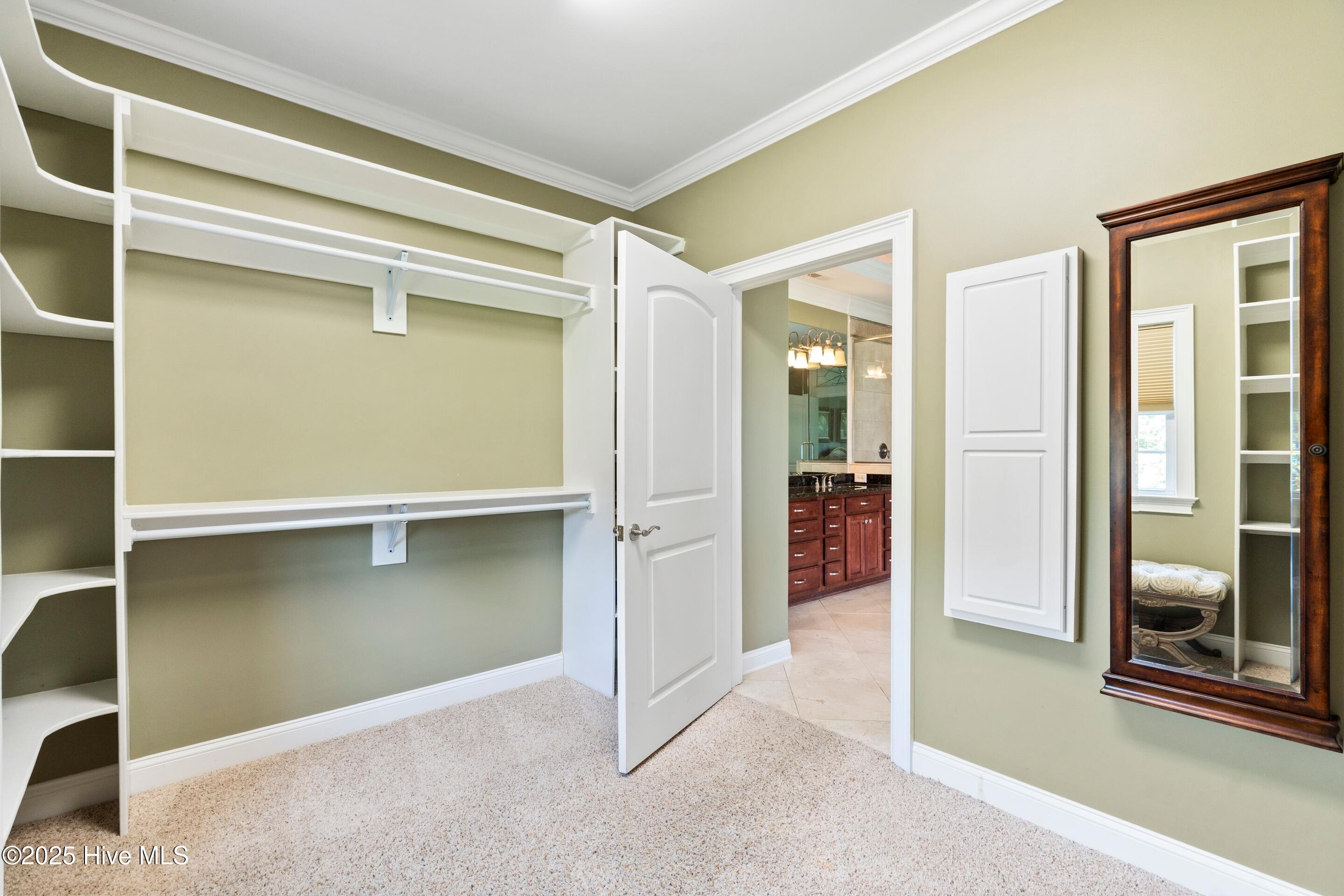 100518438 | Photo 39