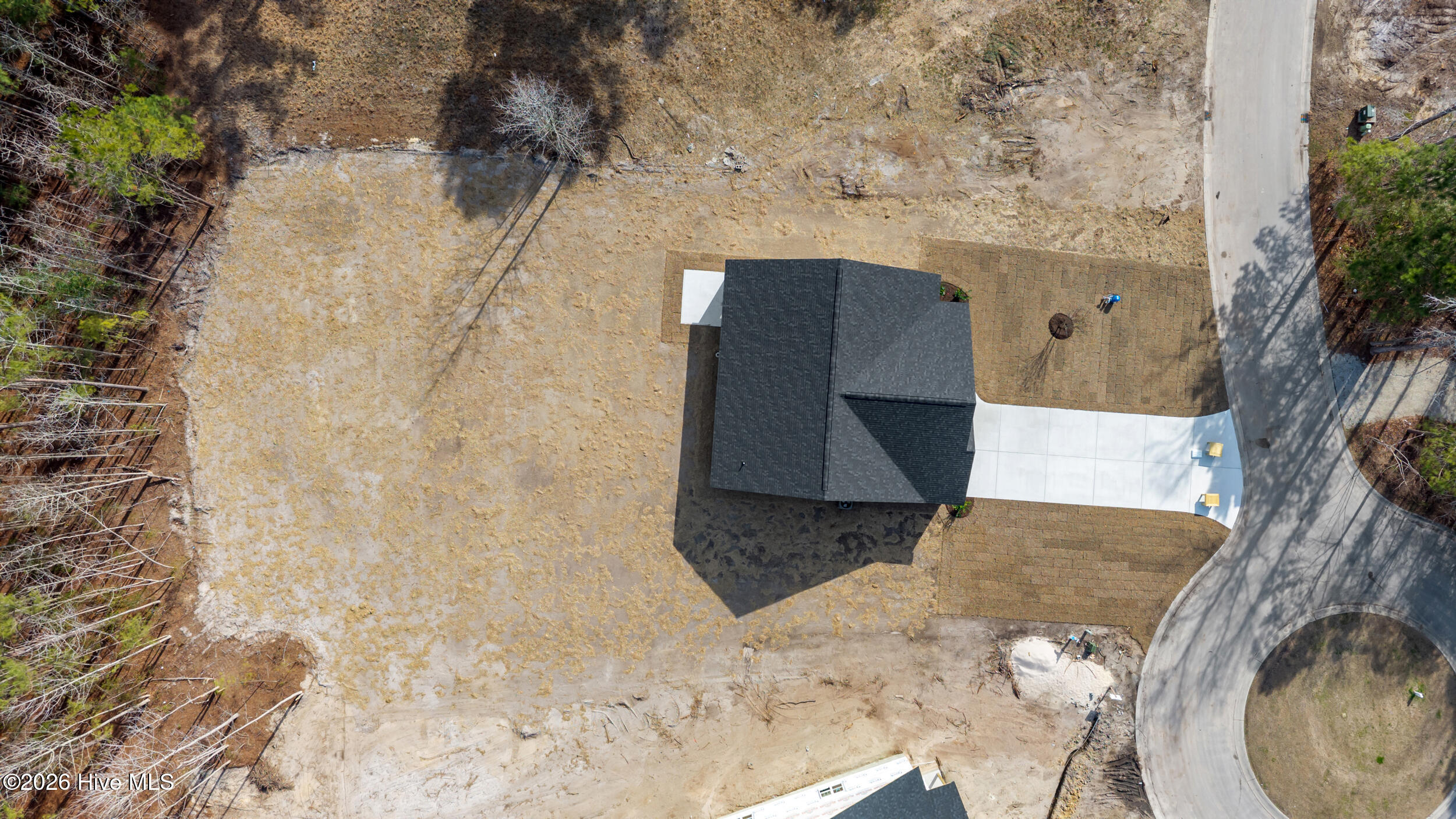 100558641 | Photo 24