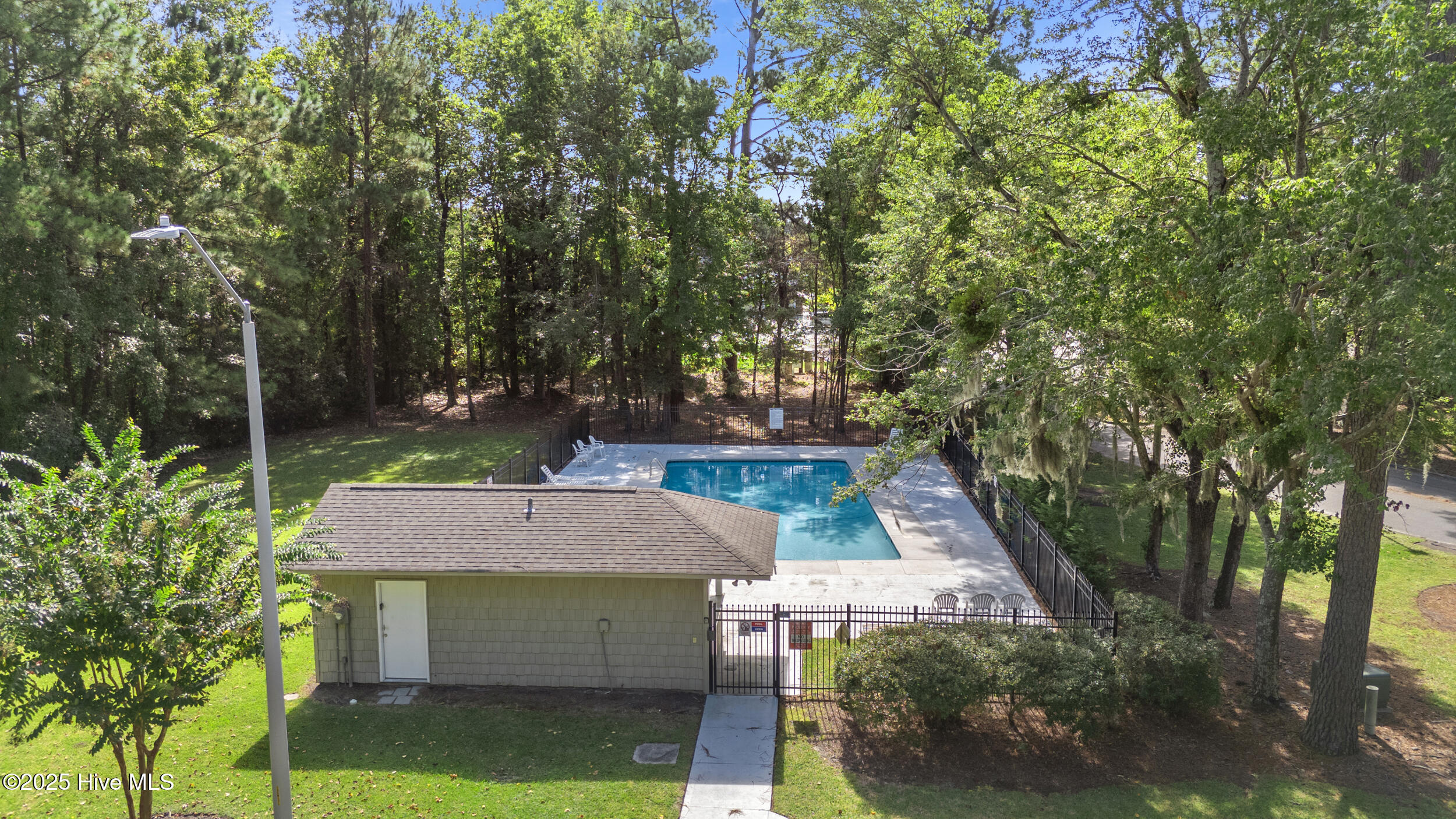 100534967 | Photo 23