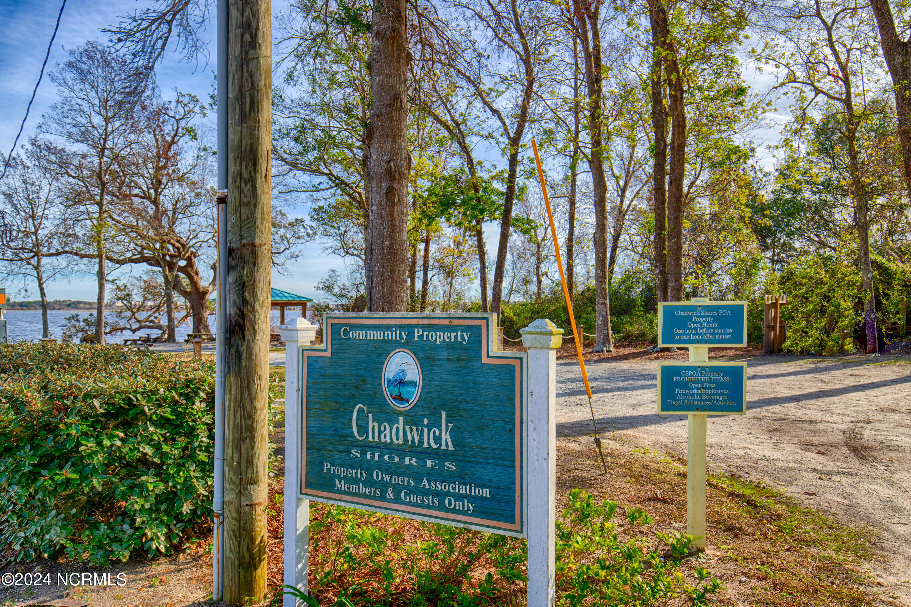 100559086 | Photo 46