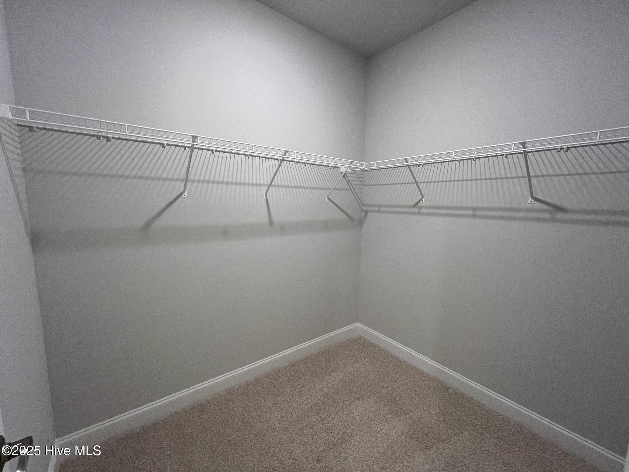 100420761 | Photo 17