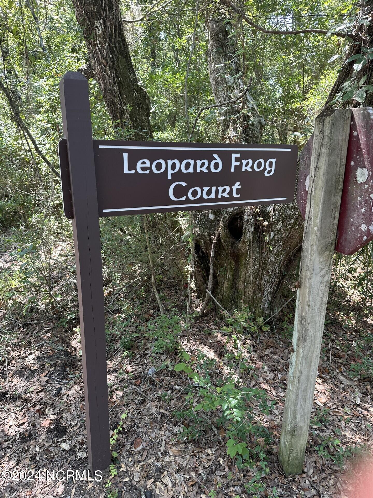 6 Leopard Frog Court, Bald Head Island, NC, 28461