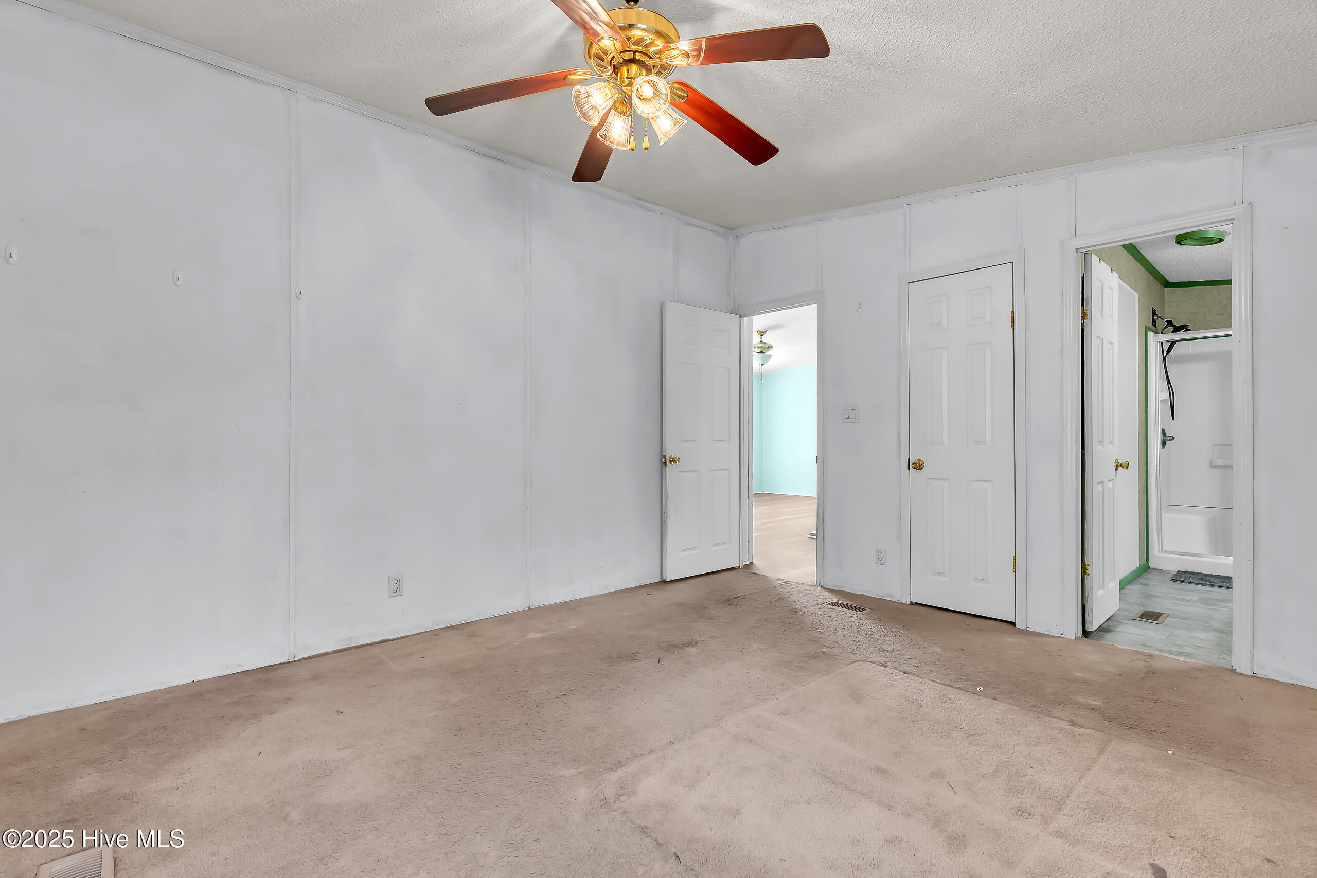 100538064 | Photo 19