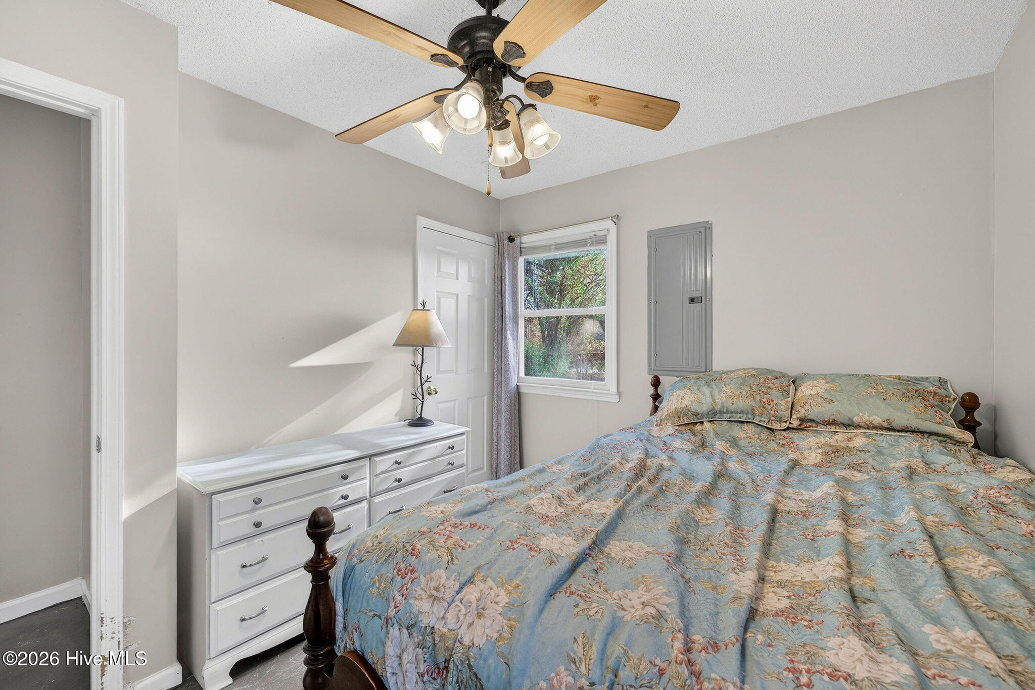 100547847 | Photo 22