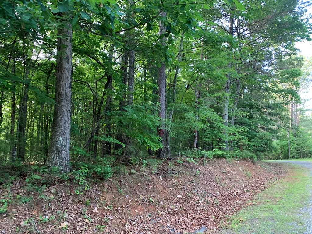 Exterior photo of Lot 43 Kestrel Ridge Circle, Murphy, NC 28906. MLS: 98543700