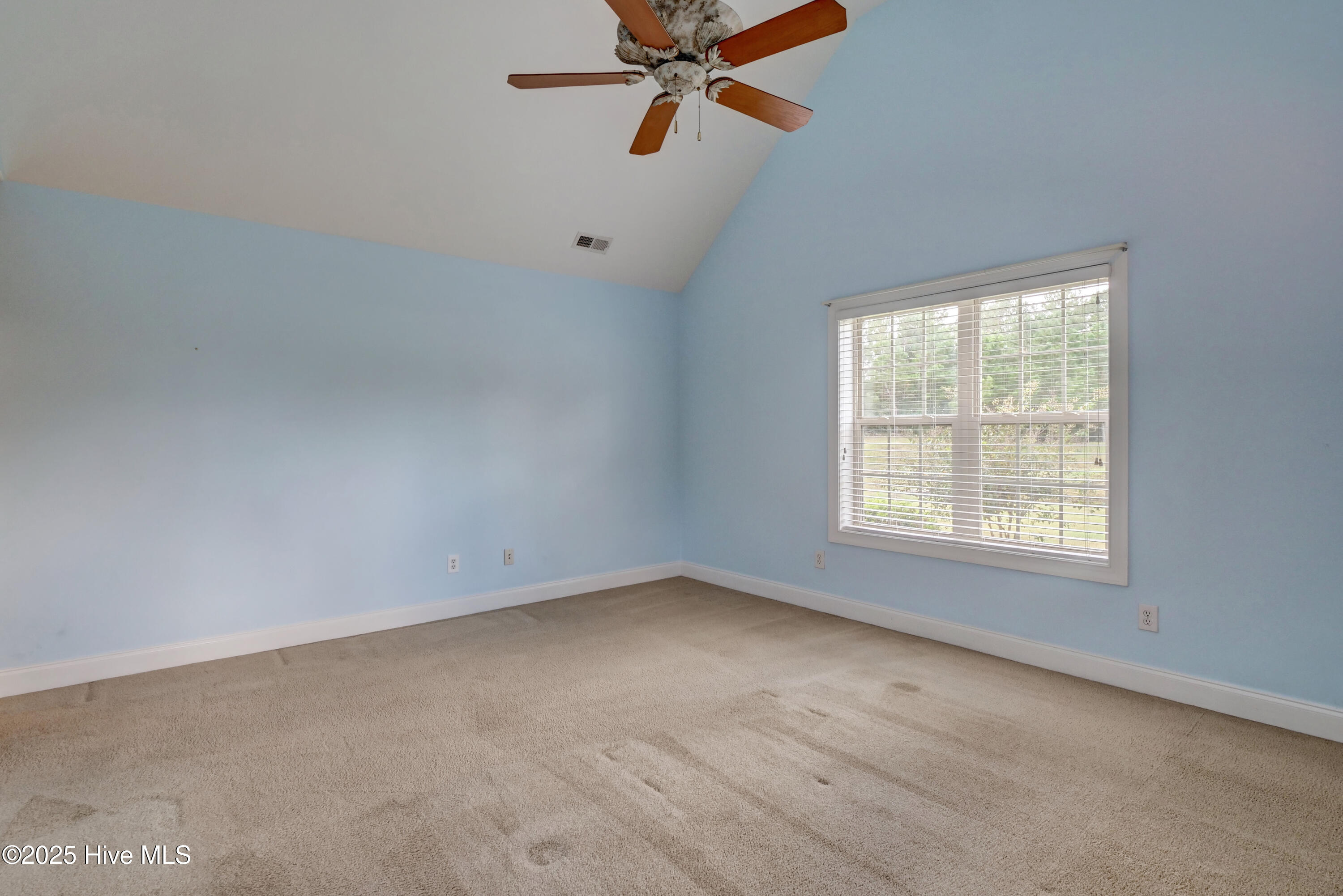 100539909 | Photo 17