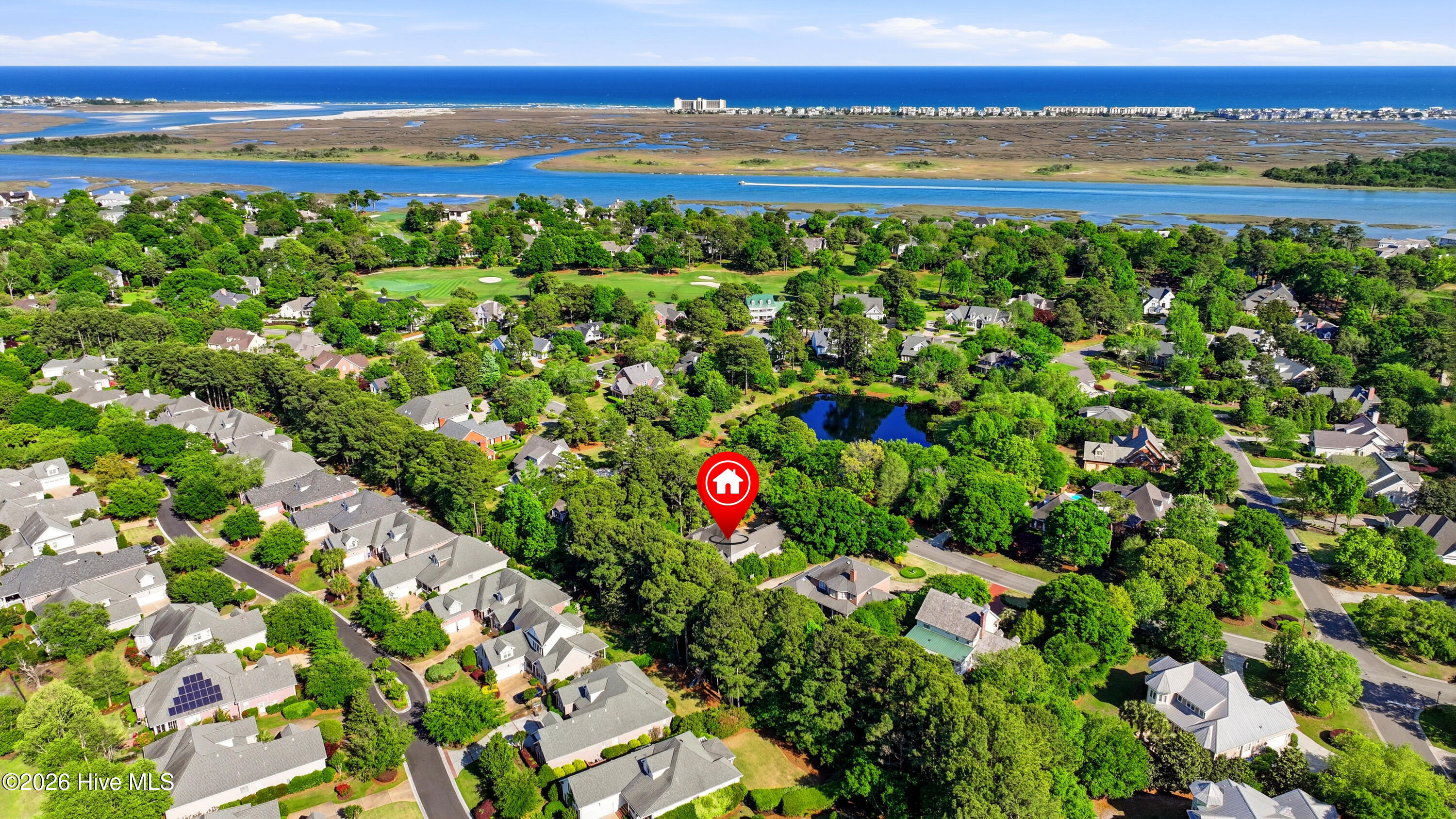 100567999 | Photo 59