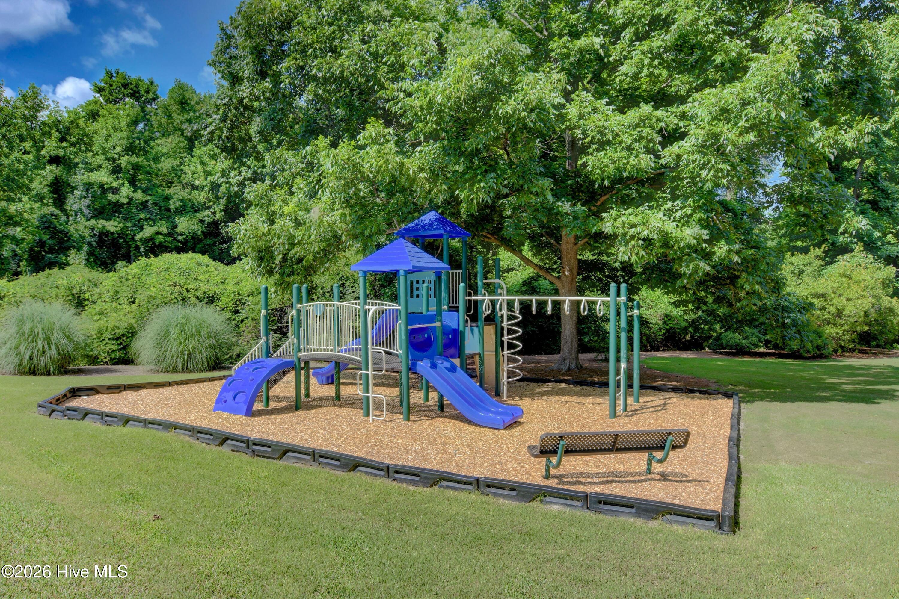 100554854 | Photo 29