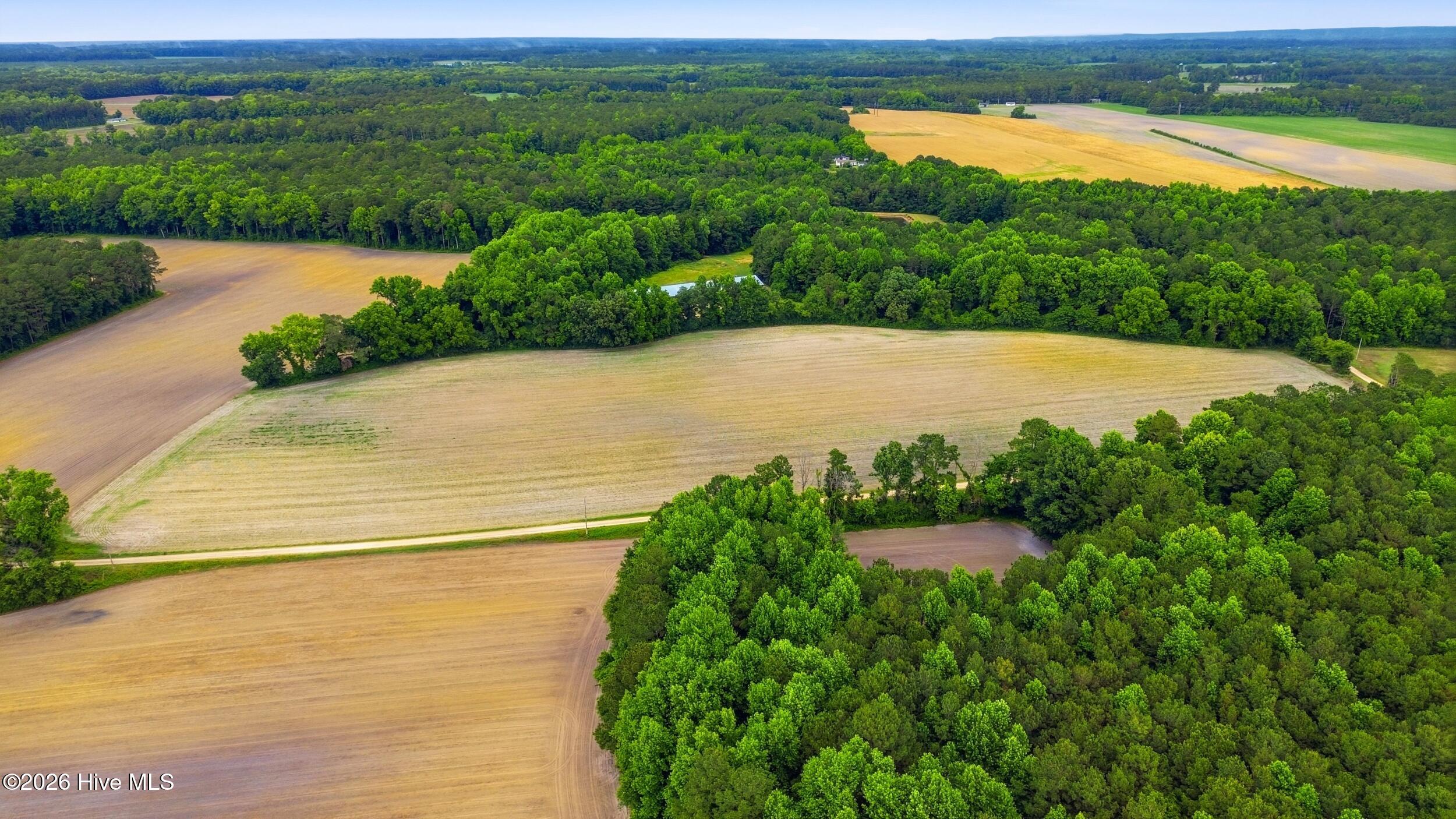 Homes for sale in Council, NC | Tbd Pig Palace Ln, Council, NC 28434 | MLS# 100578897