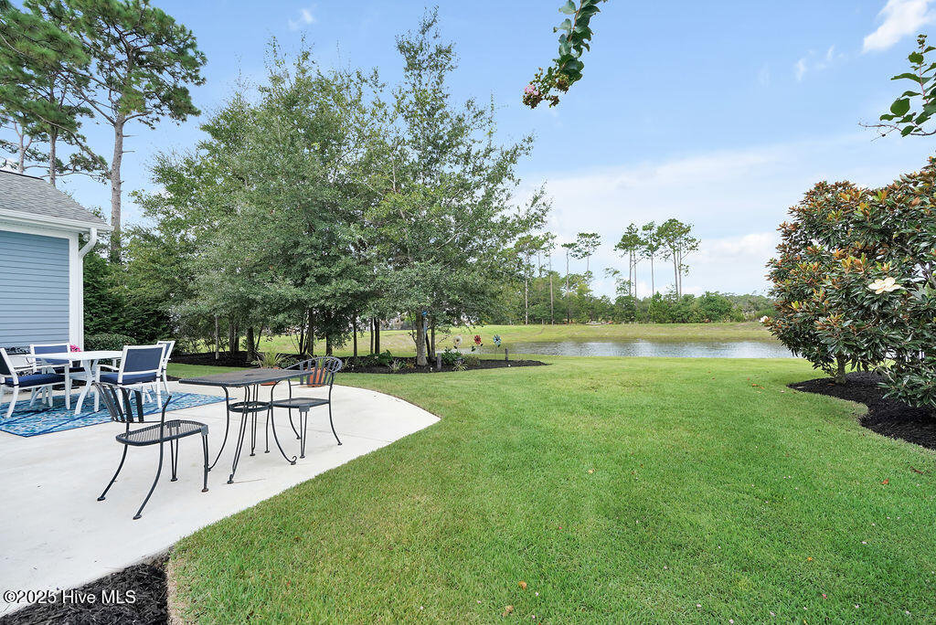 100535005 | Photo 35