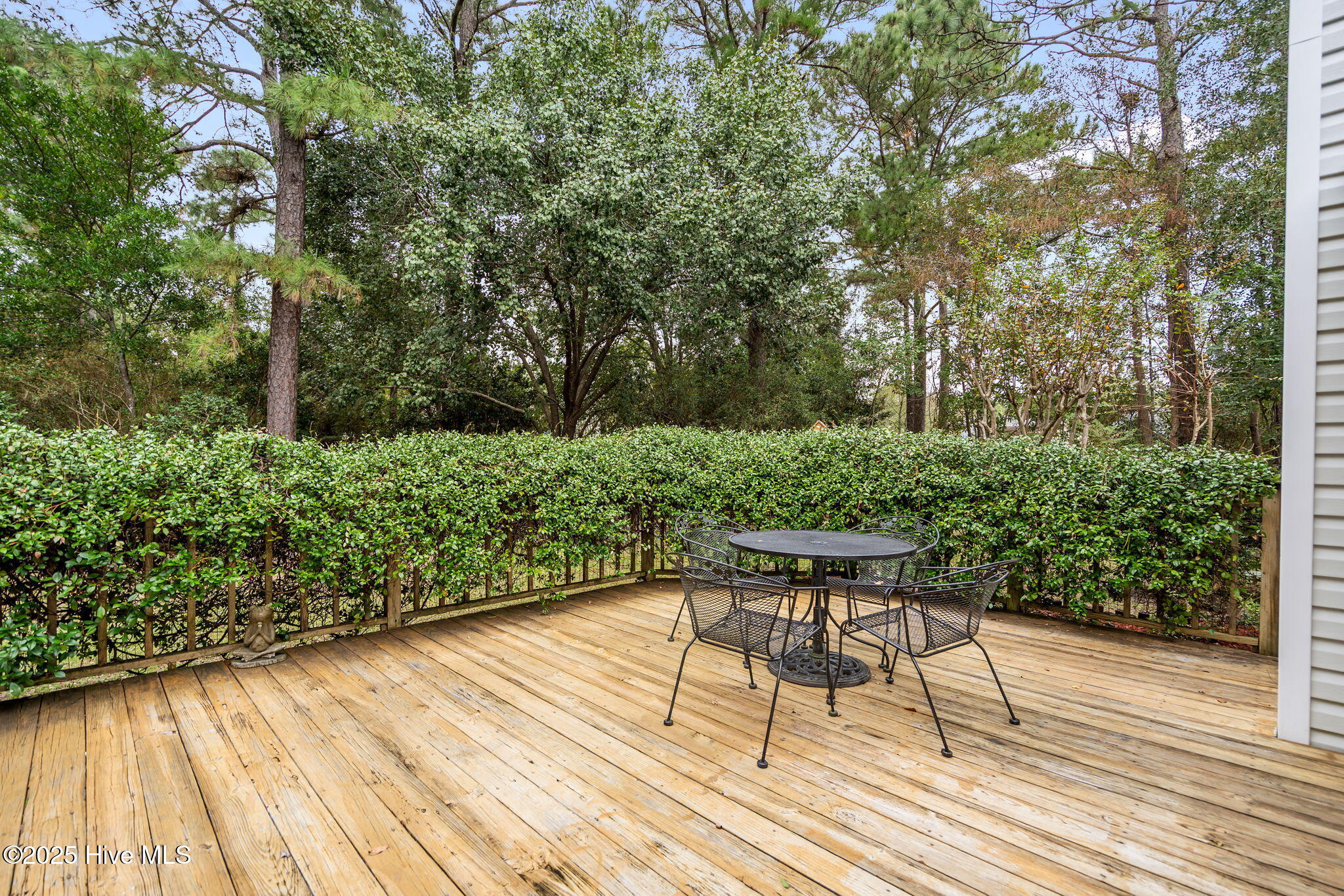 100543555 | Photo 44