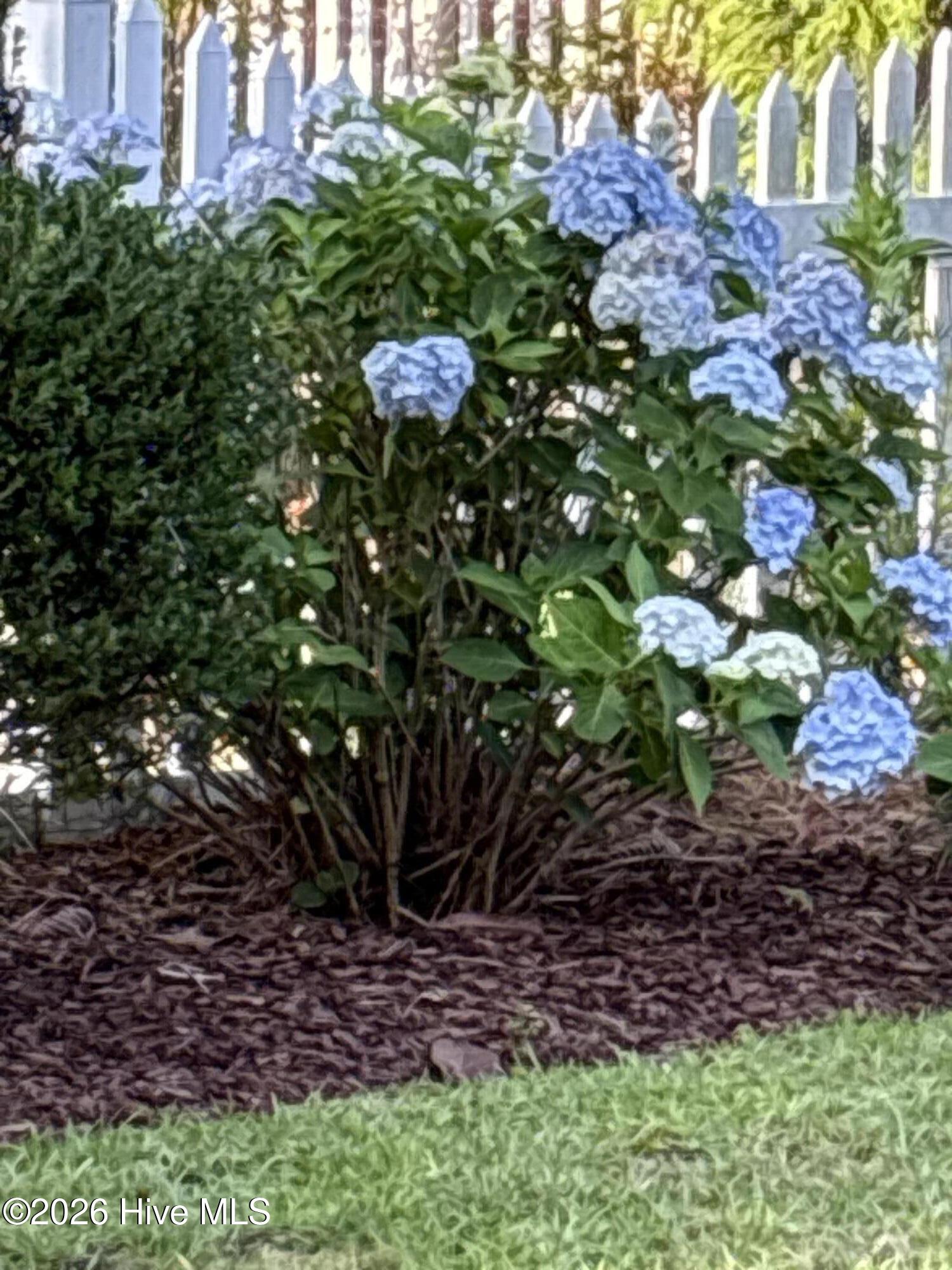 100553841 | Photo 60