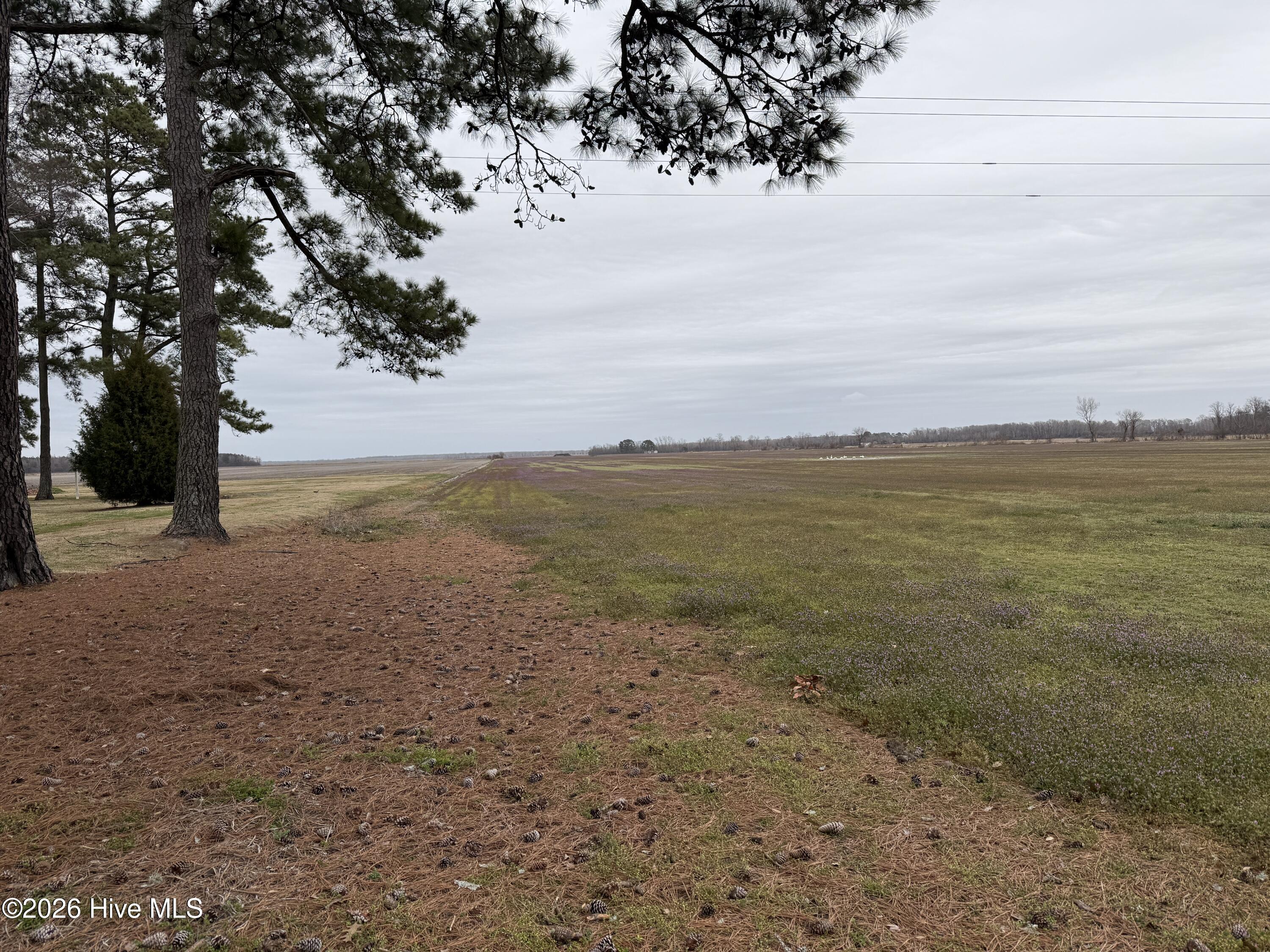 Homes for sale in Pantego, NC | 0 Nc 99, Pantego, NC 27860 | MLS# 100555818