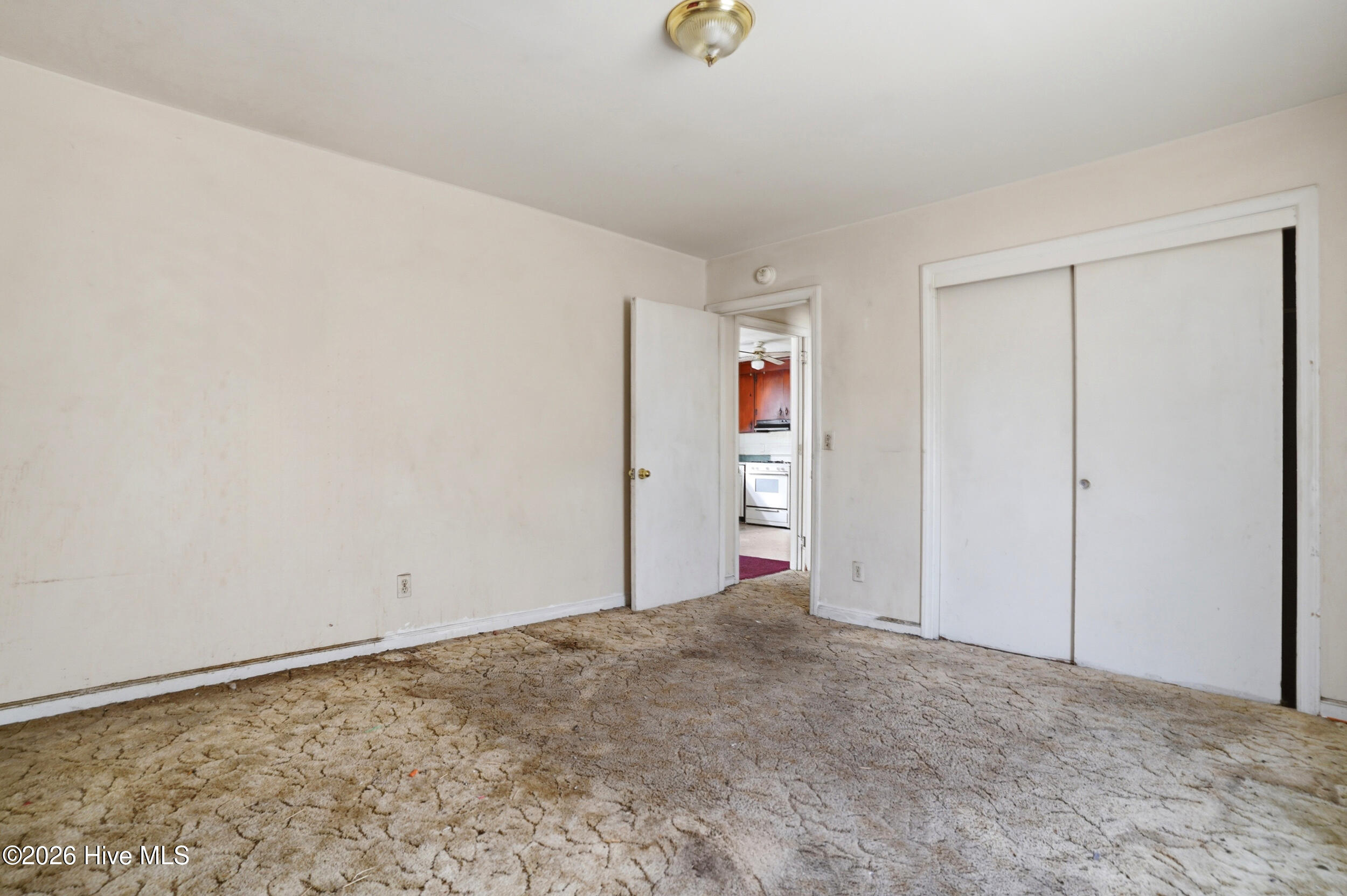 100564252 | Photo 15