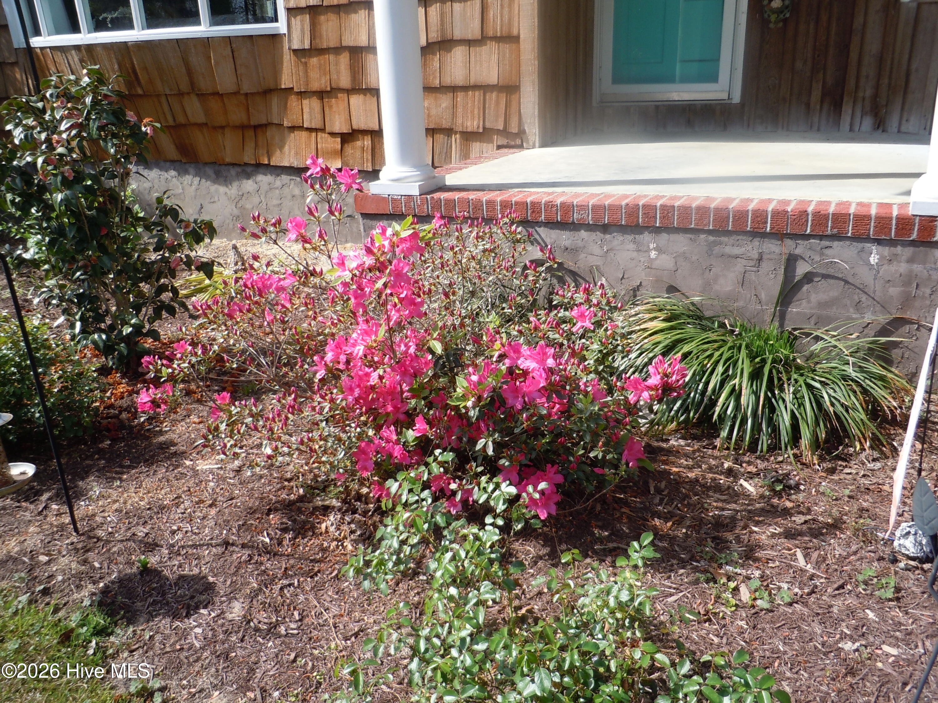 100565129 | Photo 111